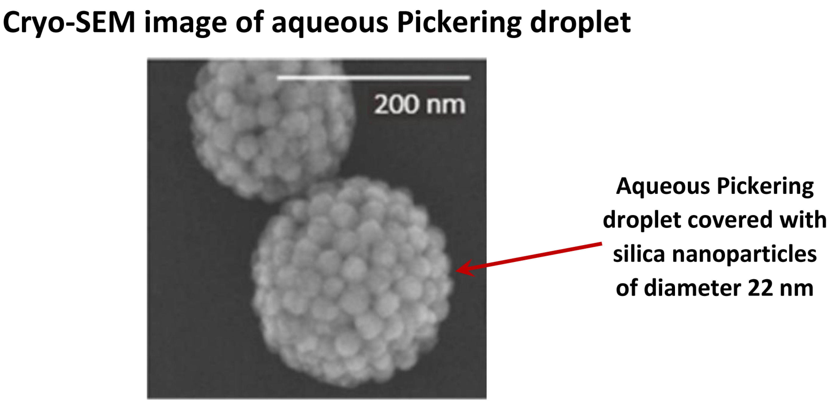 Fluids 04 00186 g002