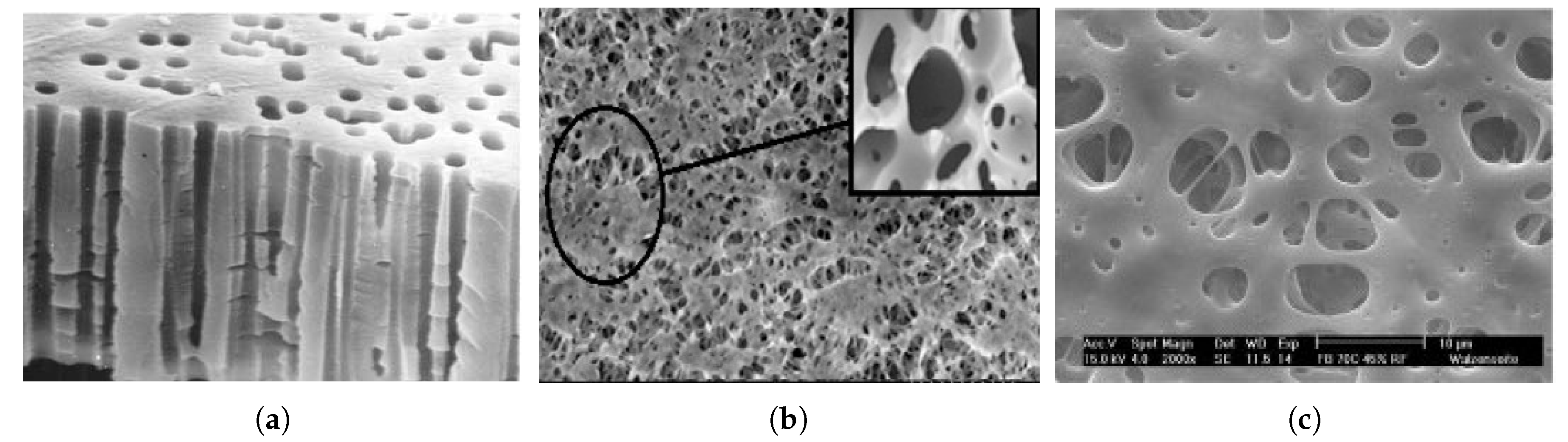 Fluids | Free Full-Text | Effects of Particles Diffusion on Membrane Filters  Performance