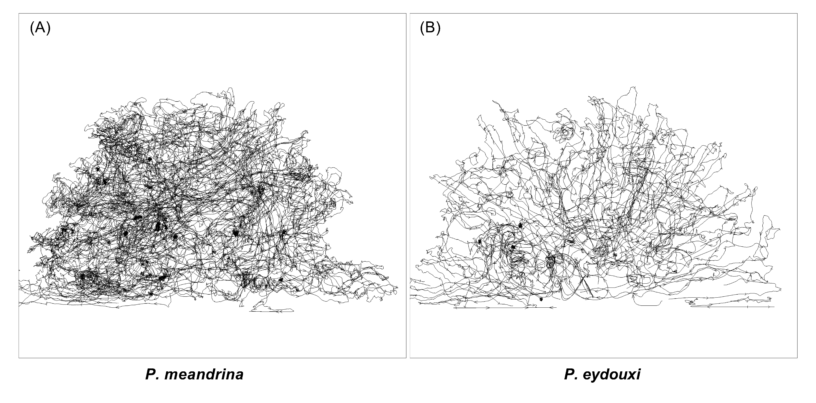 Fluids 05 00153 g007
