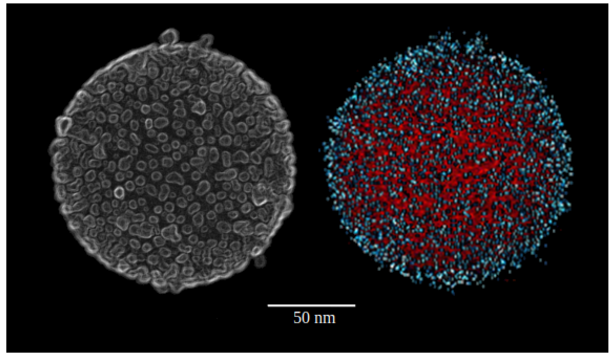Fluids 05 00201 g001 Fluids 05 00201 g001