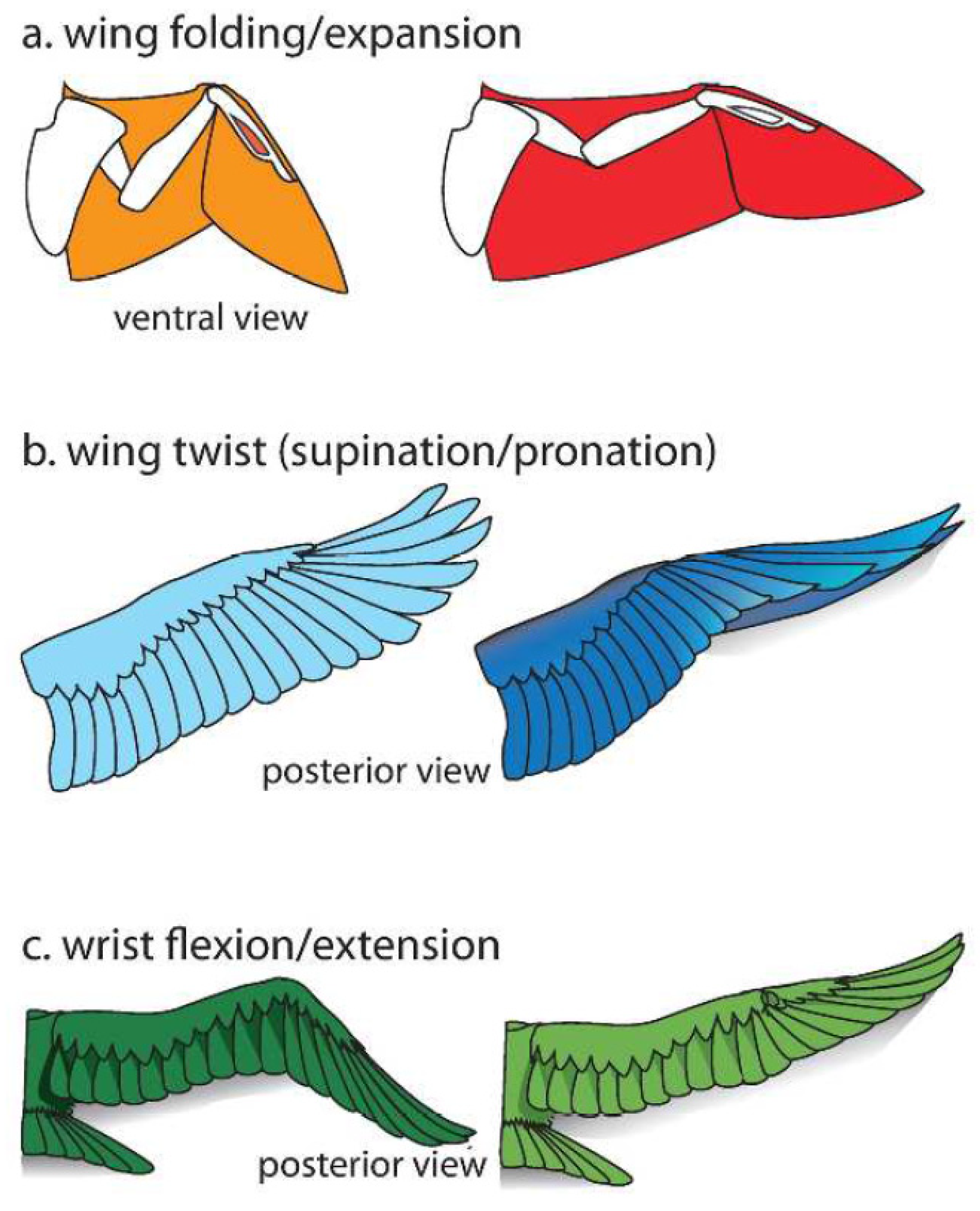 Fluids 06 00180 g001 Fluids 06 00180 g001
