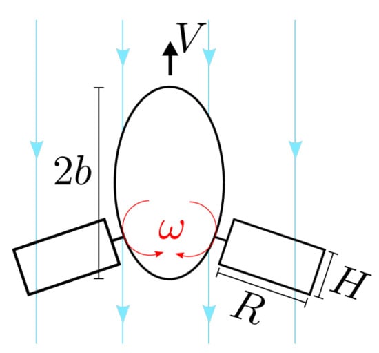 whirligig beetle diagram