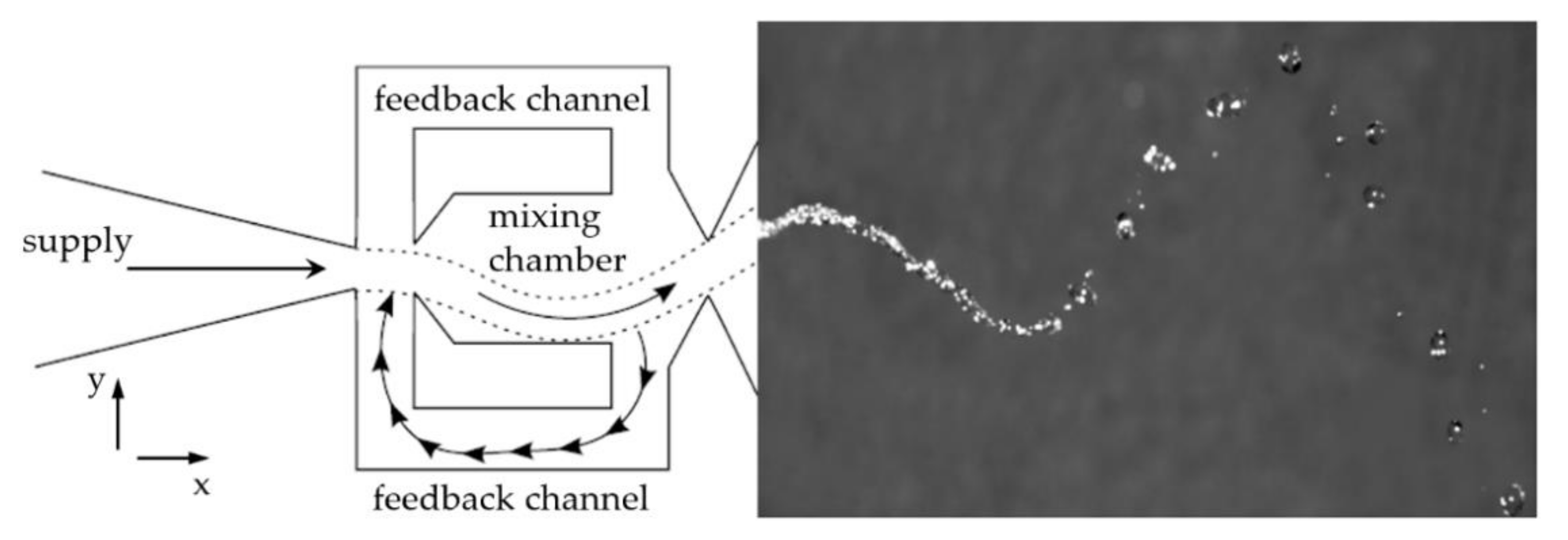 Fluids 06 00279 g008