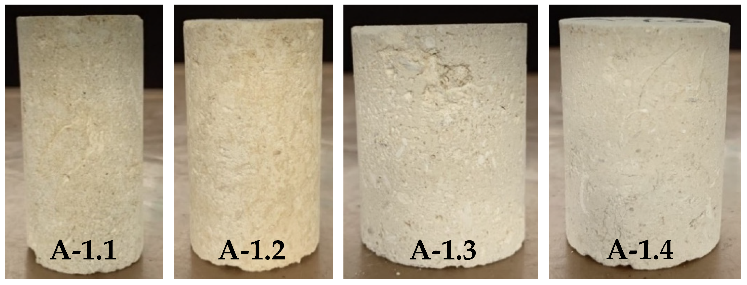 Fluids 06 00339 g001