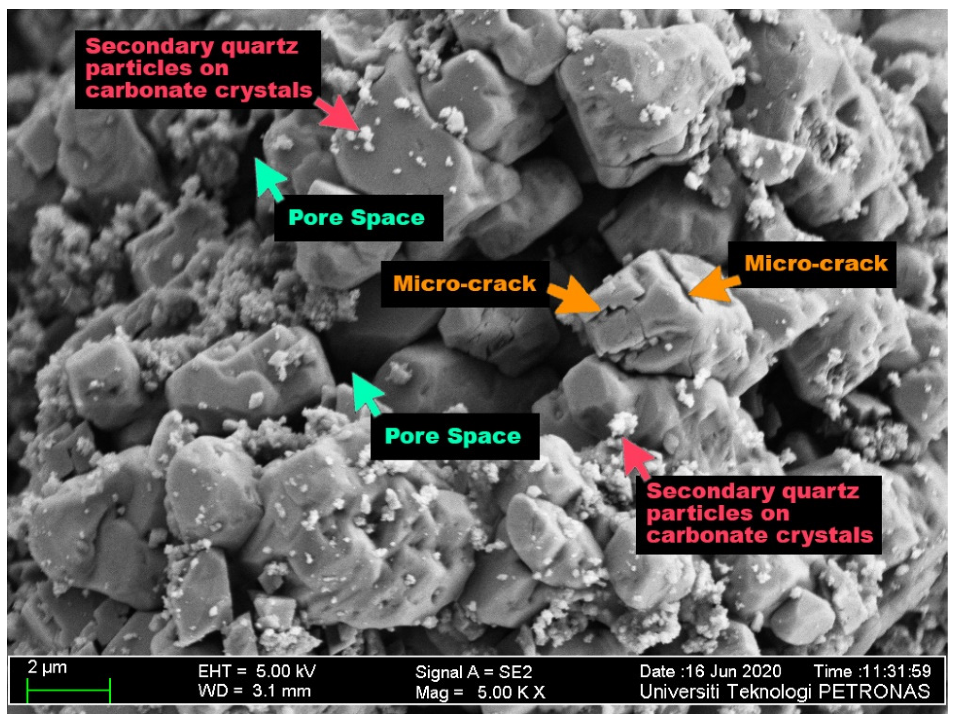 Fluids 06 00339 g007