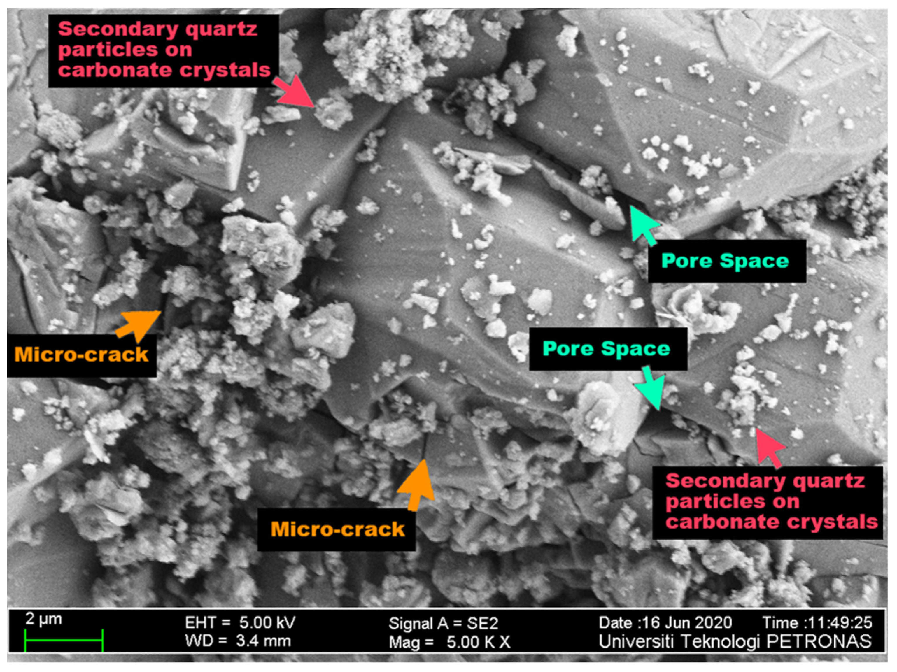 Fluids 06 00339 g008