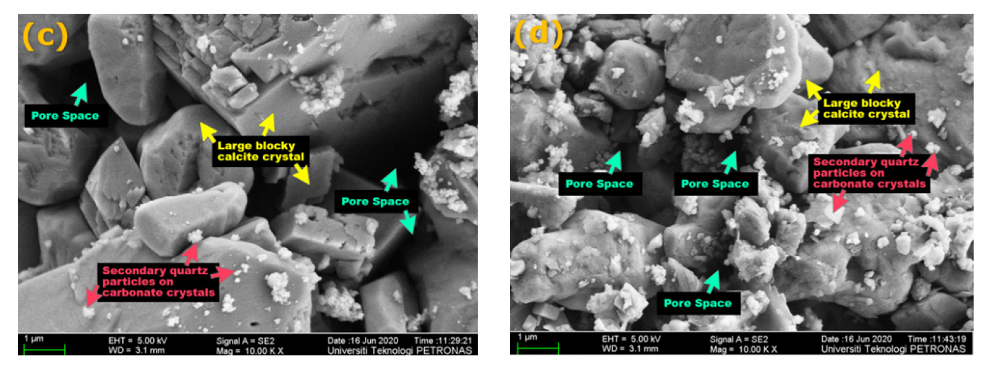 Fluids 06 00339 g016b