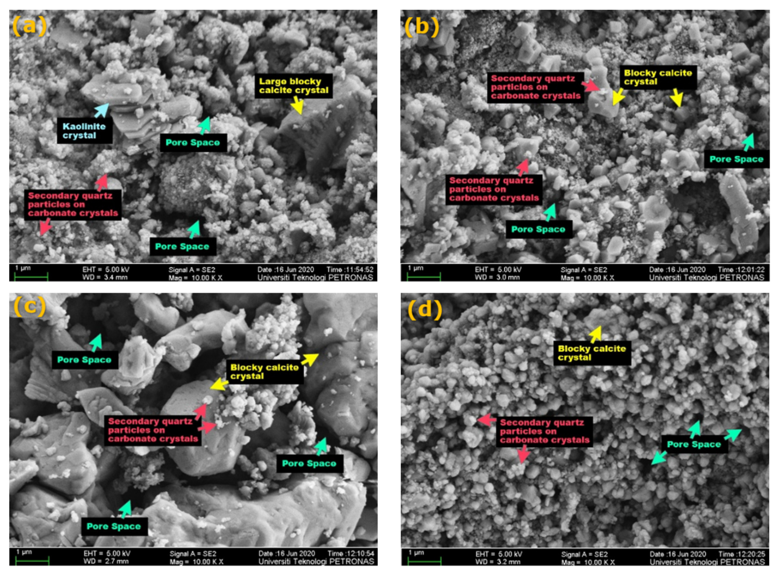 Fluids 06 00339 g017