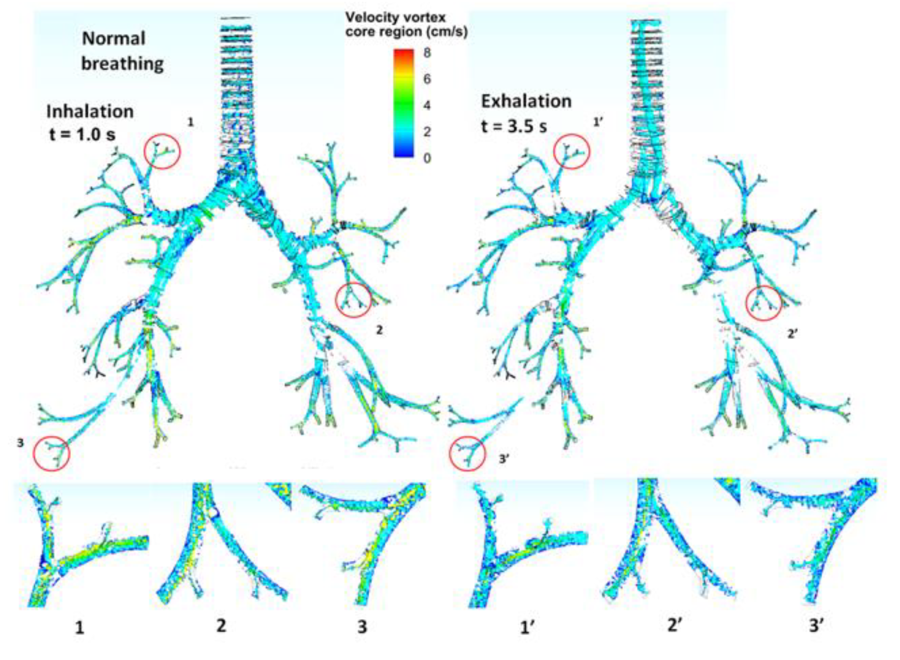 Fluids 06 00388 g007