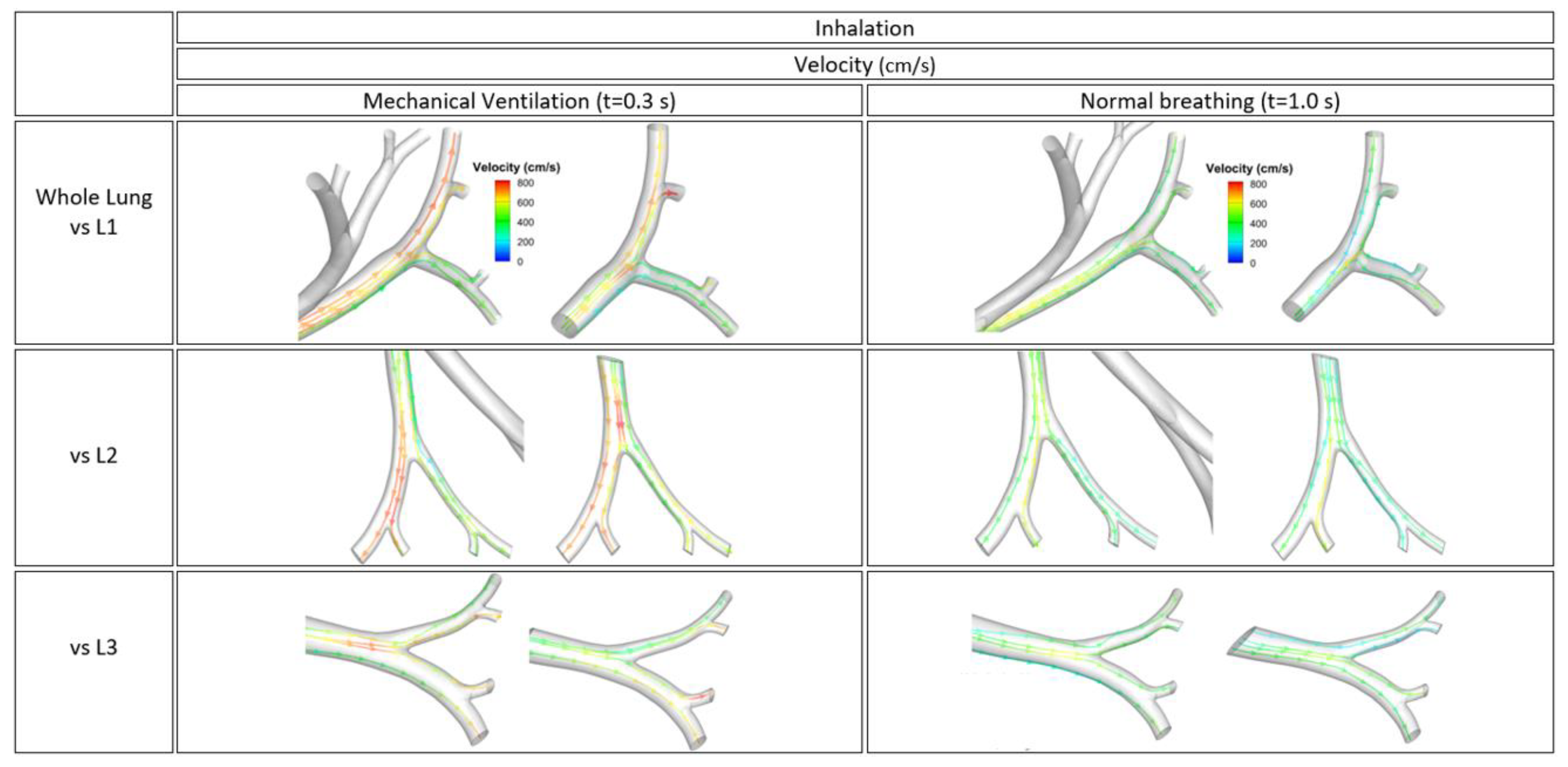 Fluids 06 00388 g008