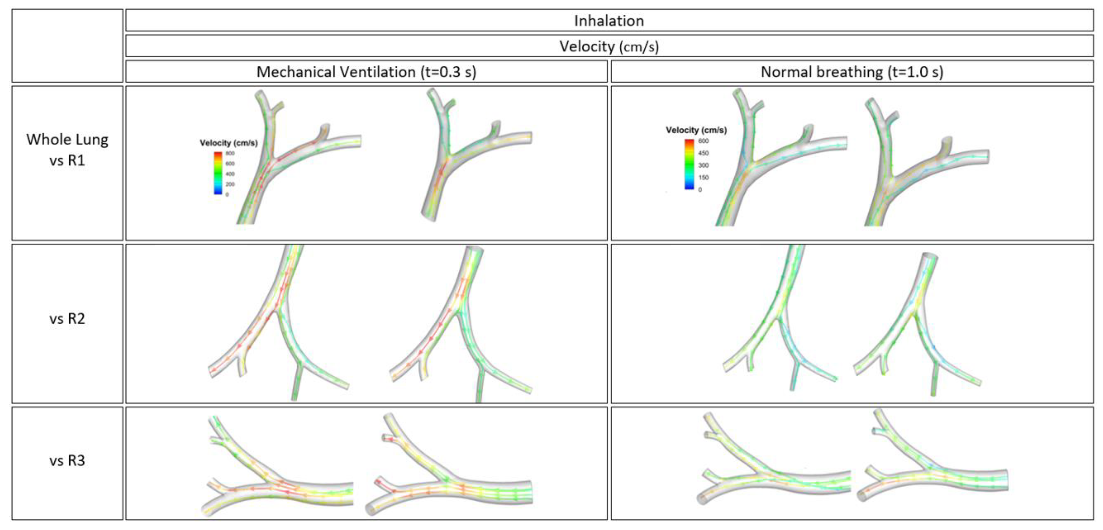 Fluids 06 00388 g010