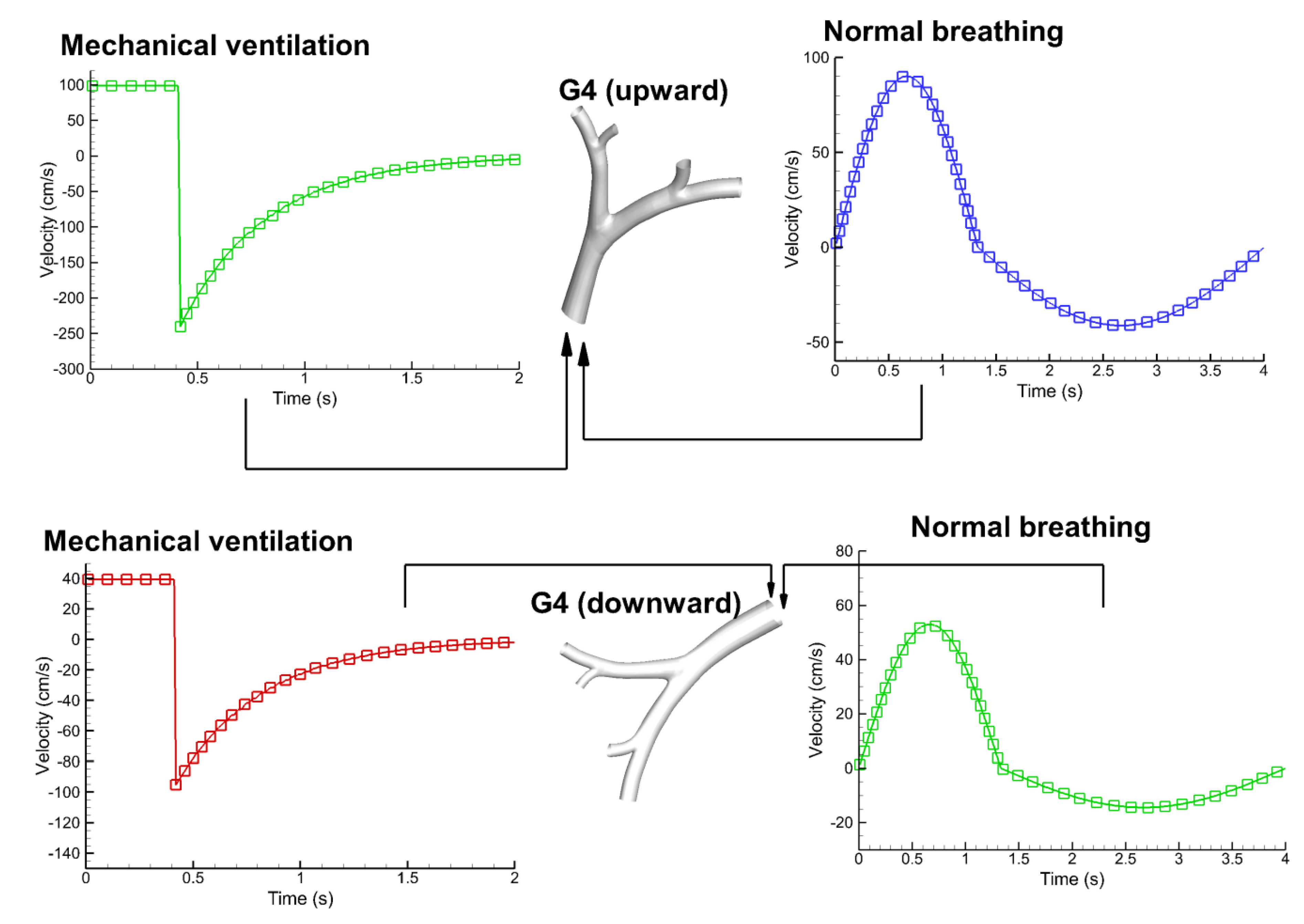 Fluids 06 00388 g013