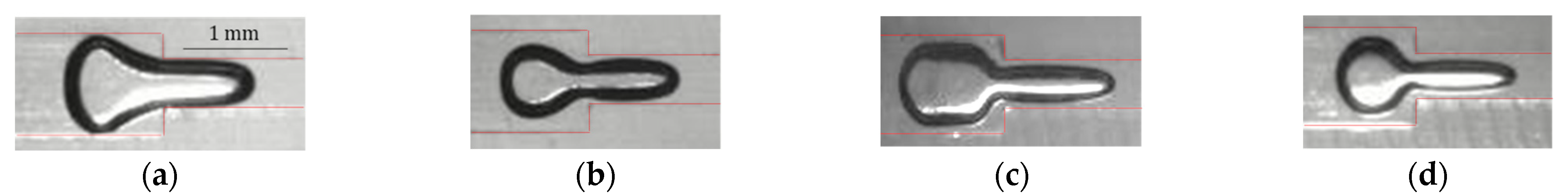 Fluids 06 00440 g014