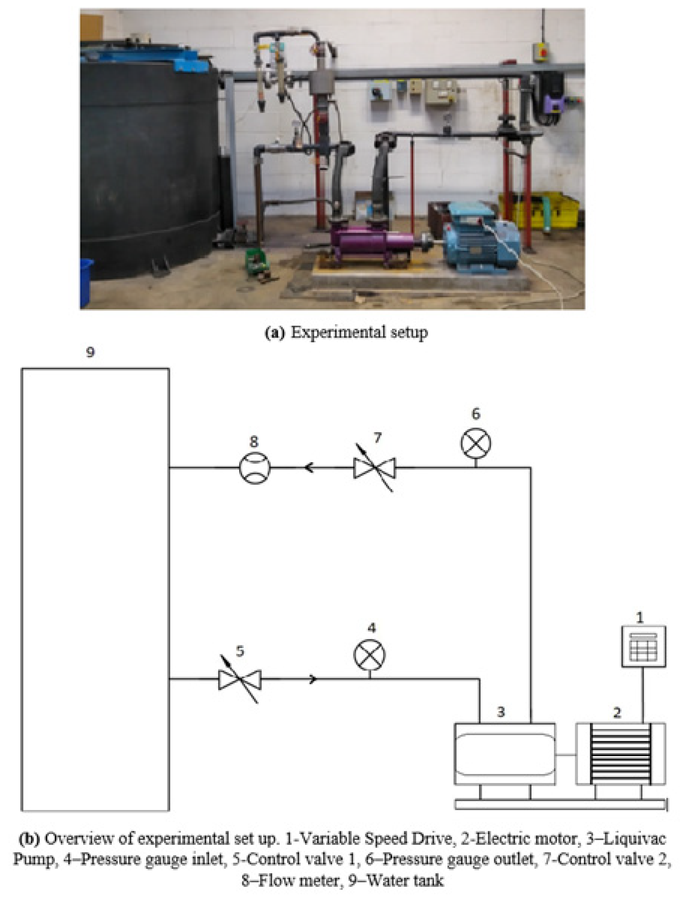 Fluids 07 00045 g005