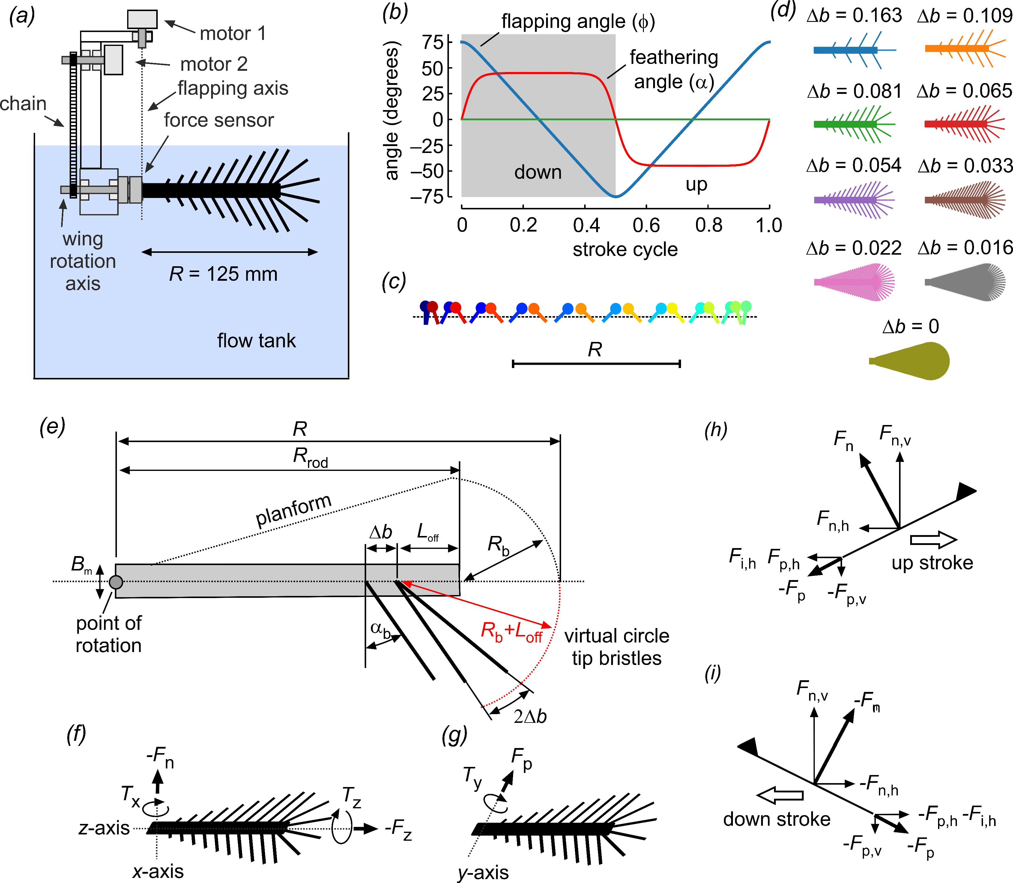 Fluids 07 00075 g002