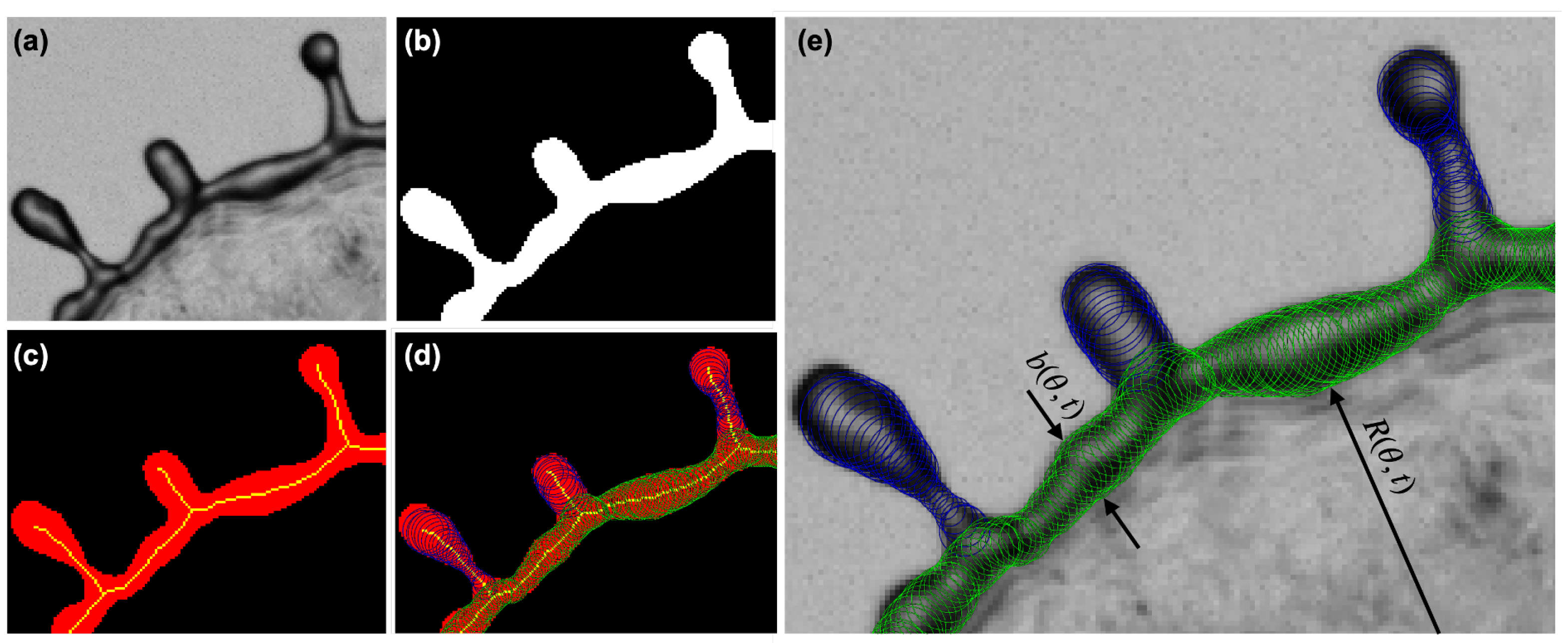 Fluids 07 00079 g002
