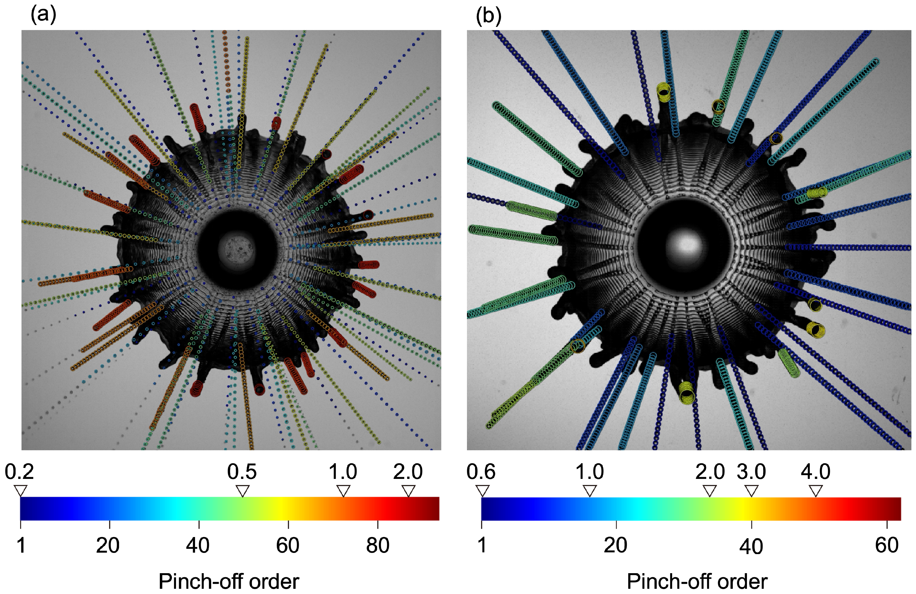 Fluids 07 00079 g006