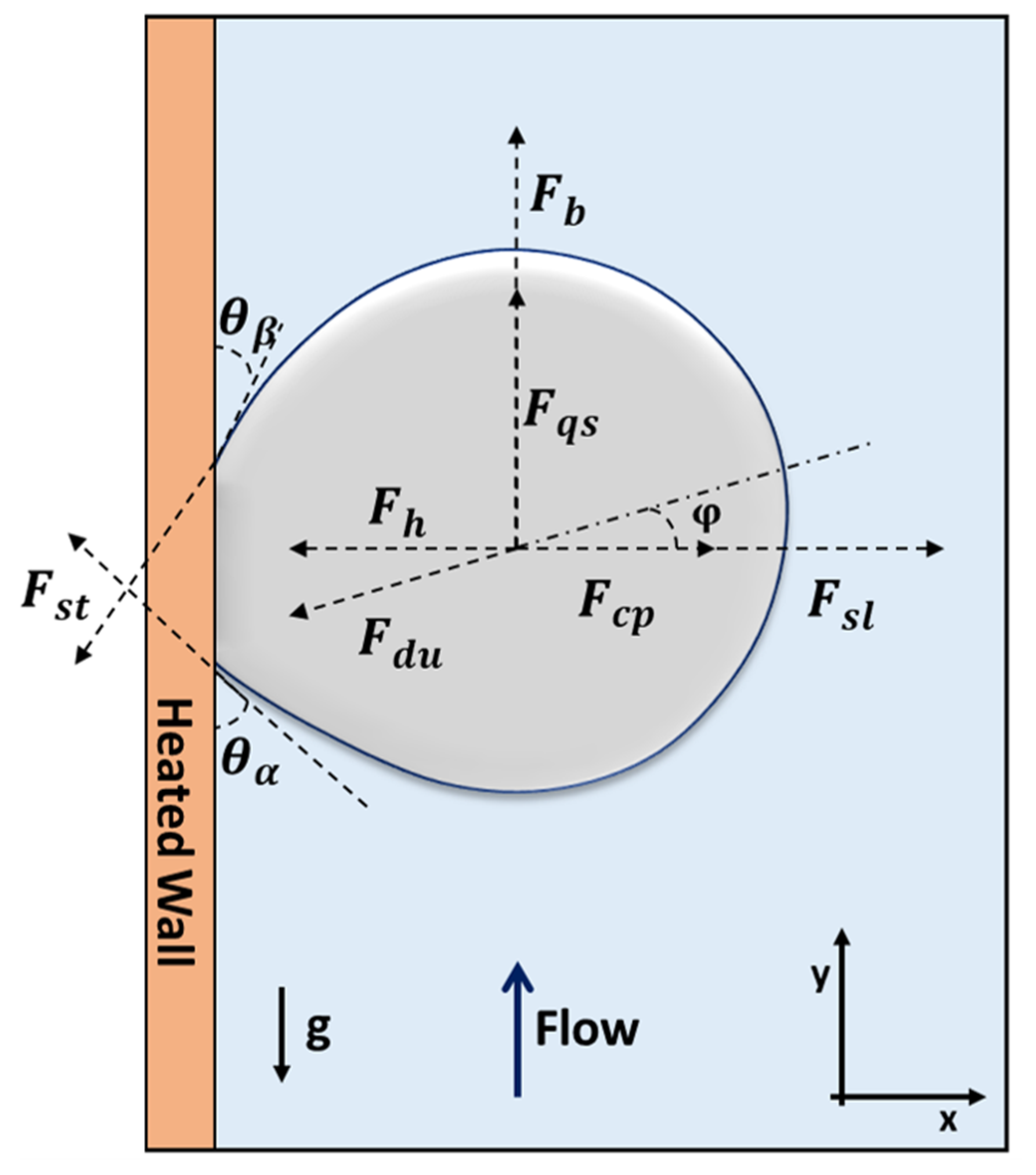 Fluids 07 00083 g001
