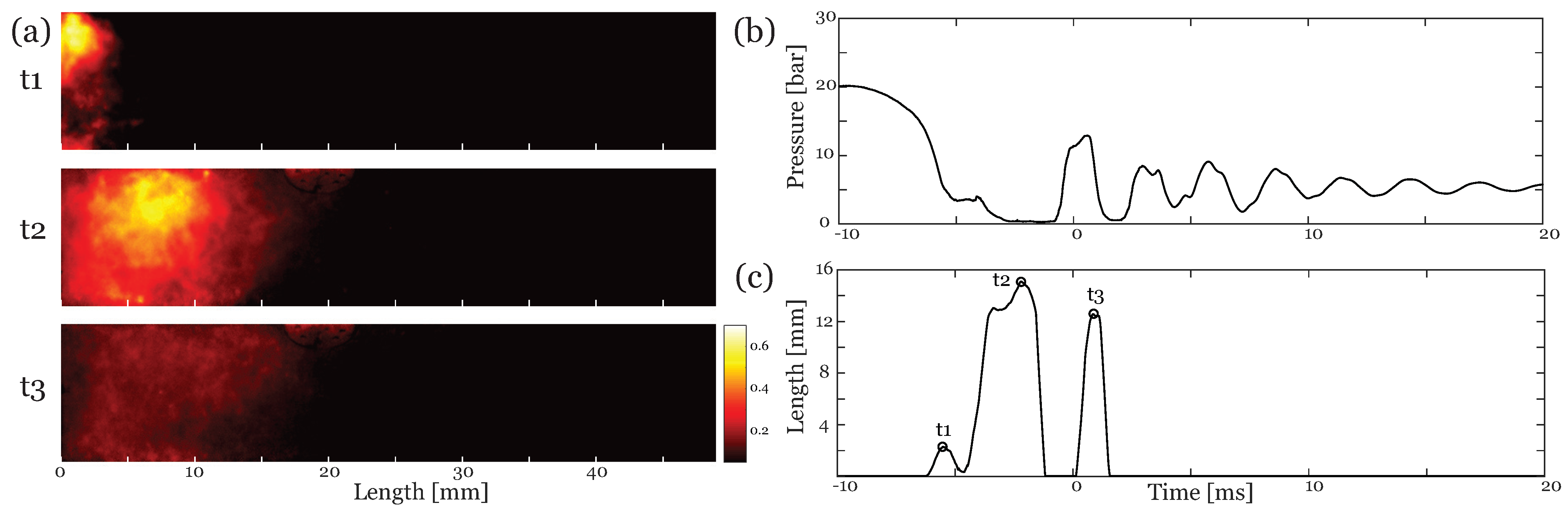 Fluids 07 00102 g008 Fluids 07 00102 g008