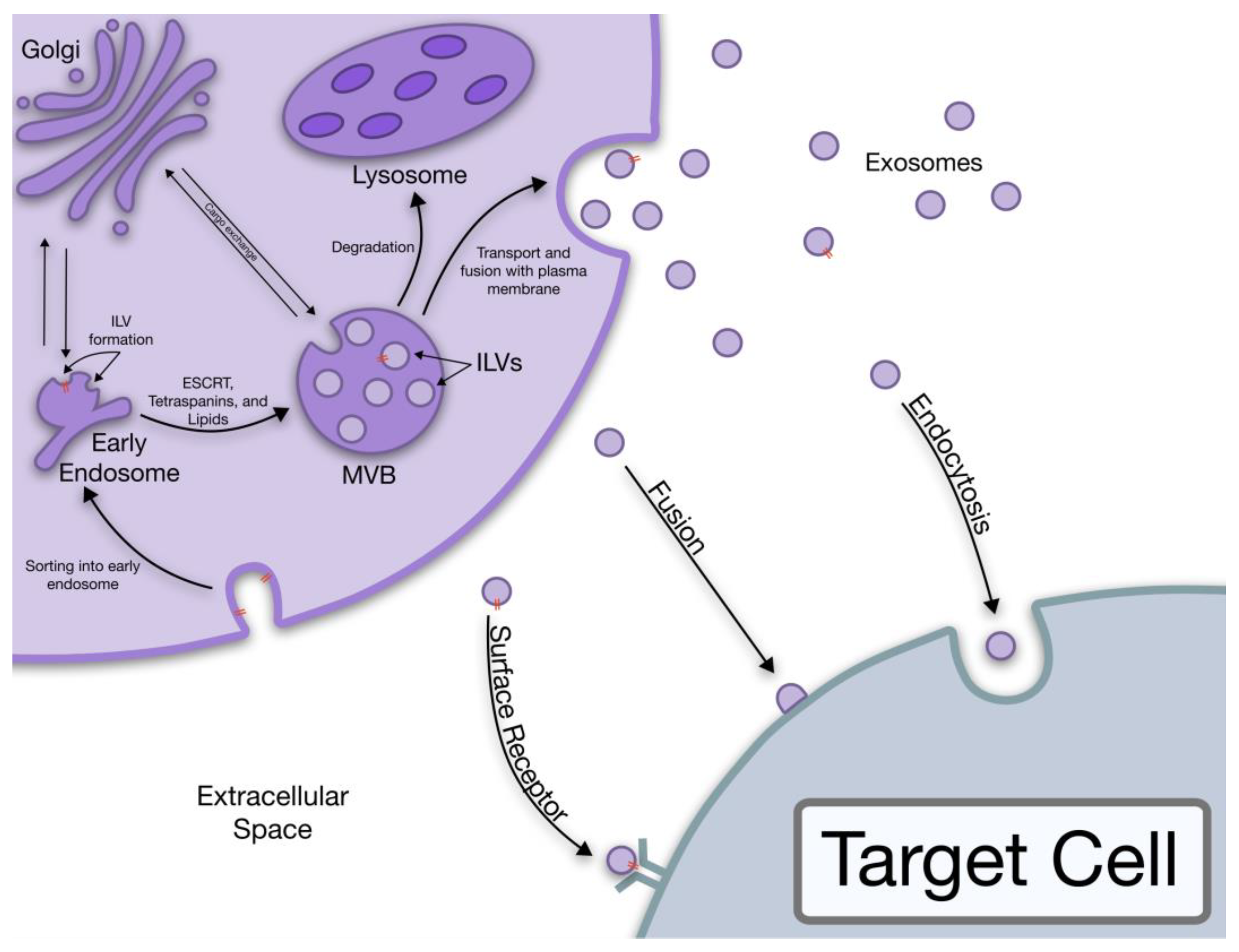 Fluids 08 00007 g001