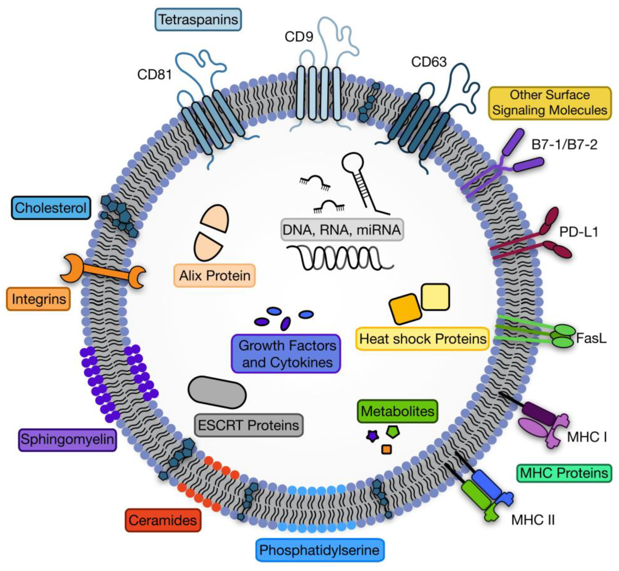 Fluids 08 00007 g002