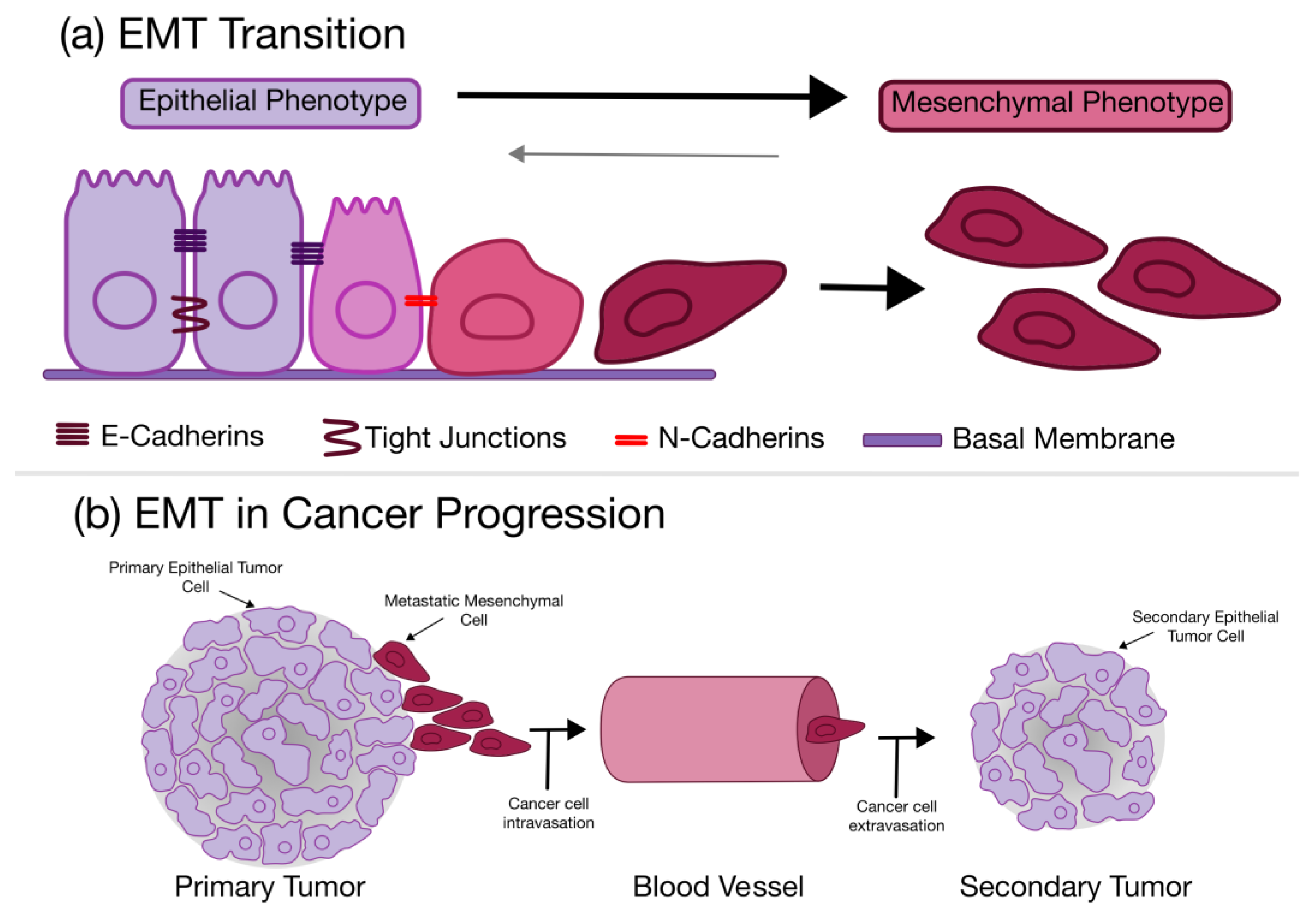 Fluids 08 00007 g003