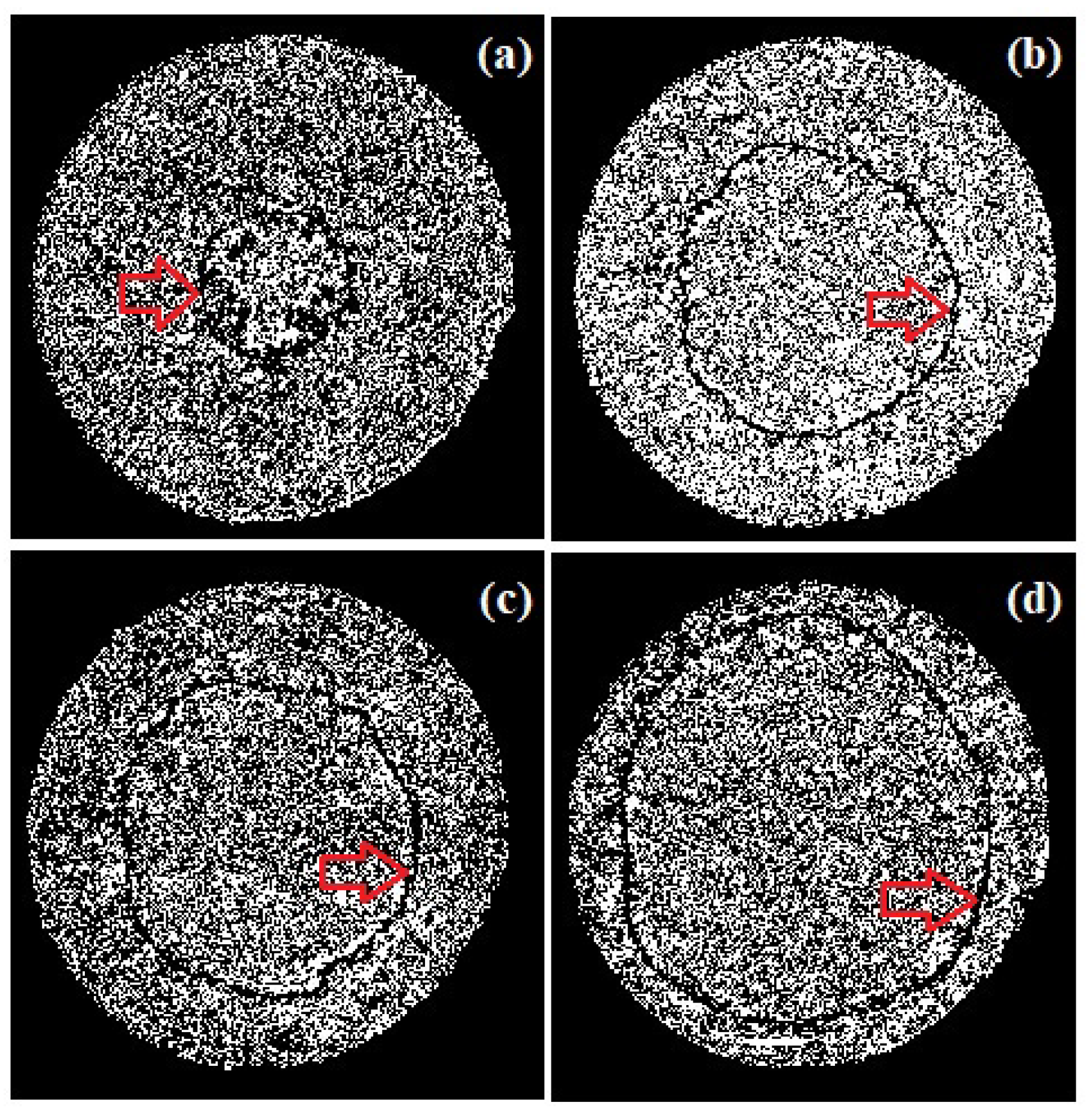Fluids 08 00202 g008