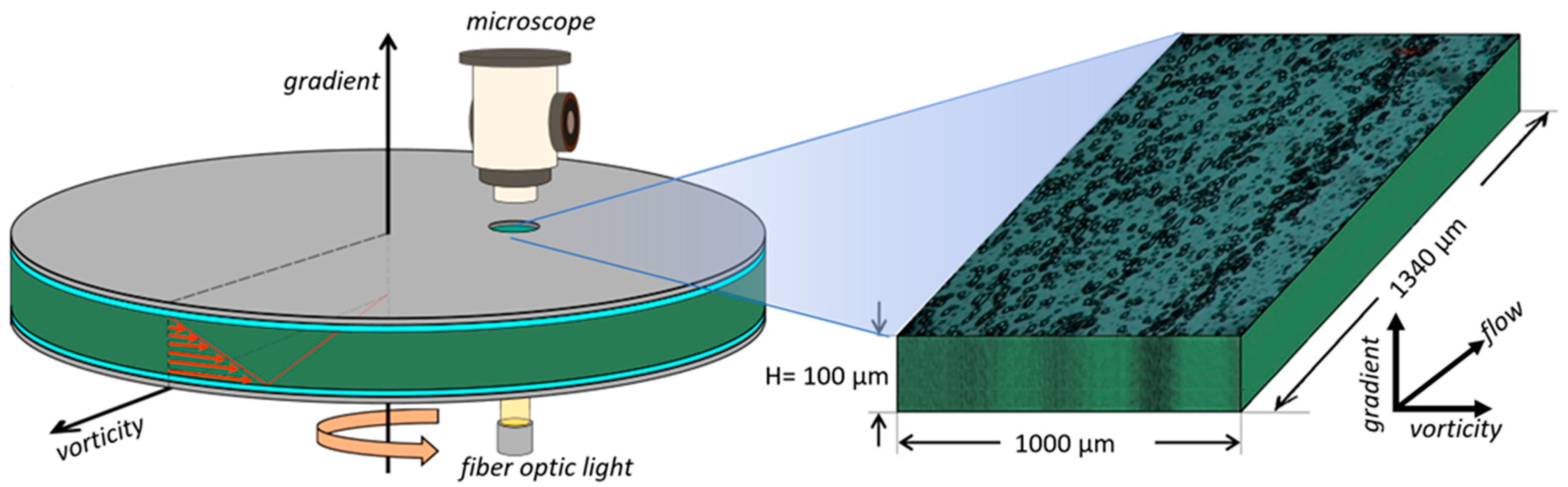 Fluids 08 00240 g001 Fluids 08 00240 g001