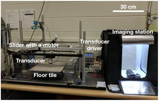 Ultrasonic Cleaning: Exploring The Efficiency And Effectiveness - The  Precision Companies