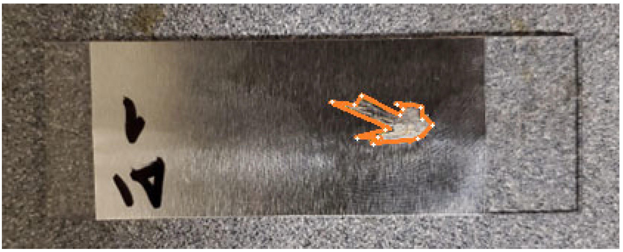 Fluids 09 00008 g004