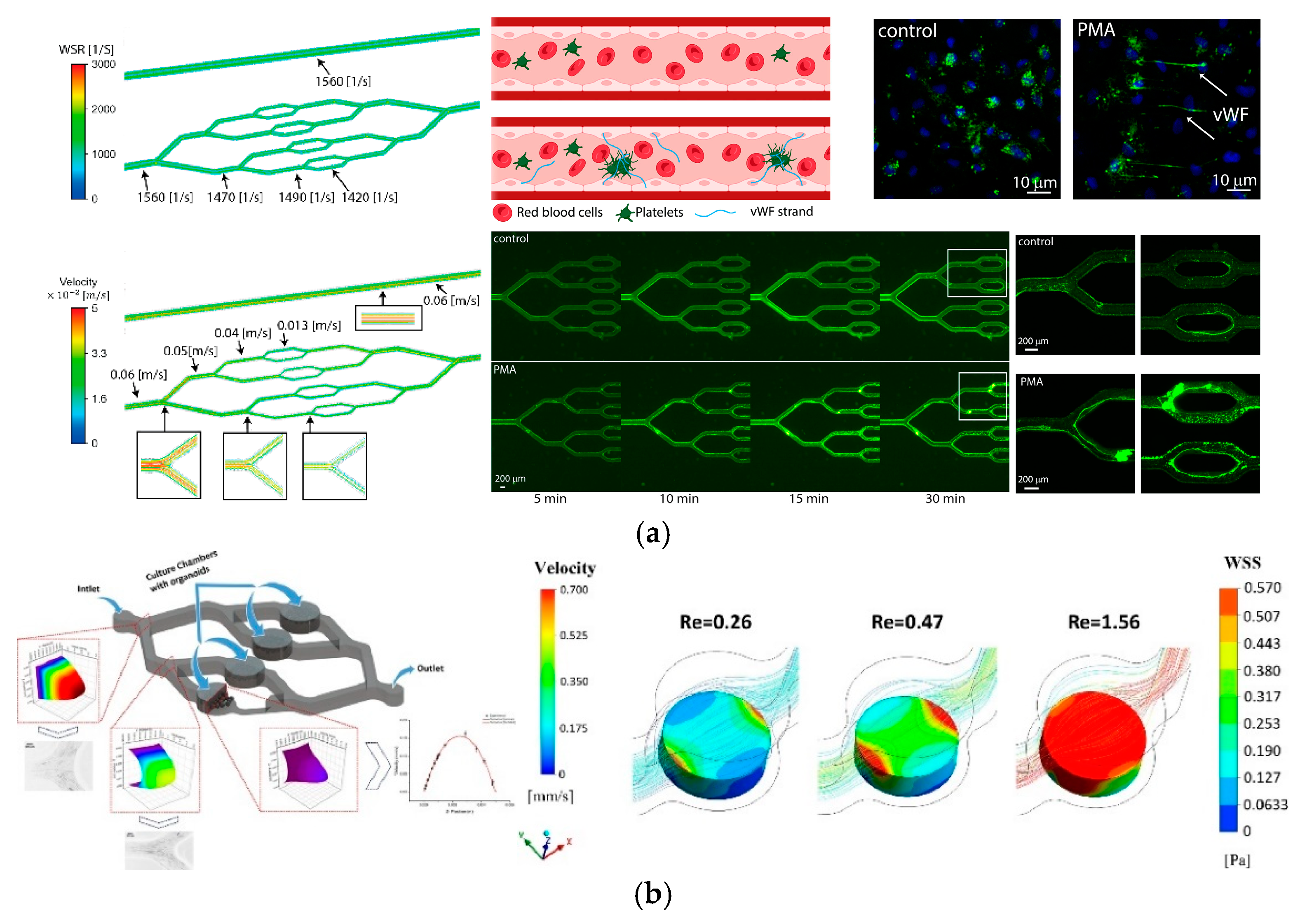 Fluids 10 00041 g006 Fluids 10 00041 g006