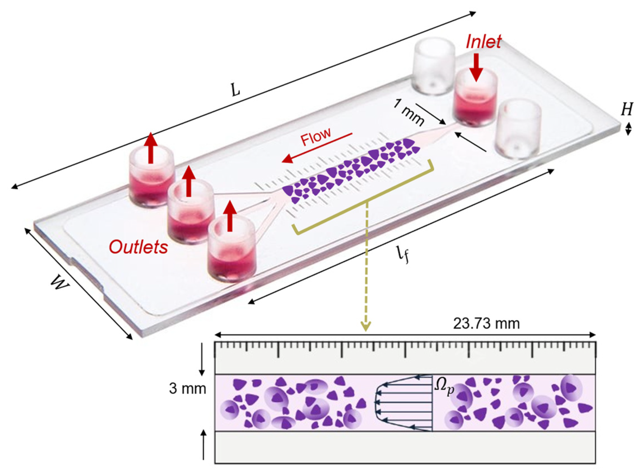 Fluids 10 00160 g001