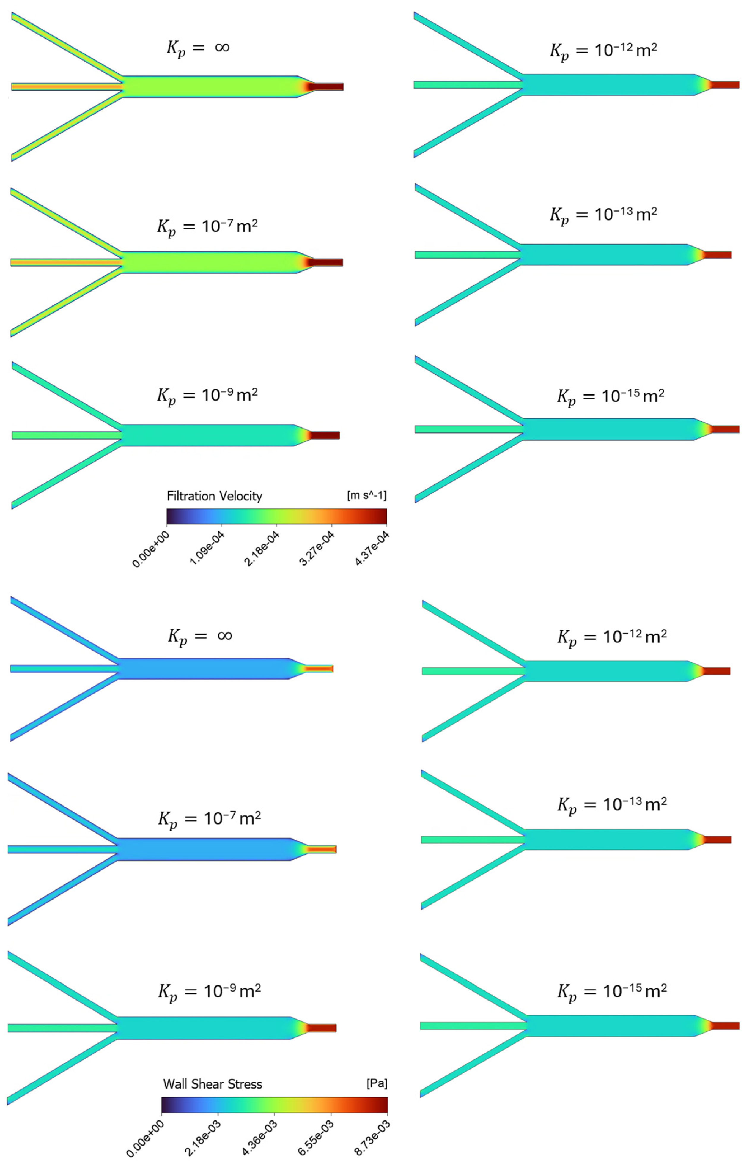 Fluids 10 00160 g004