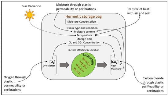 Comparing the Effectiveness of Different Grain Storage Bags