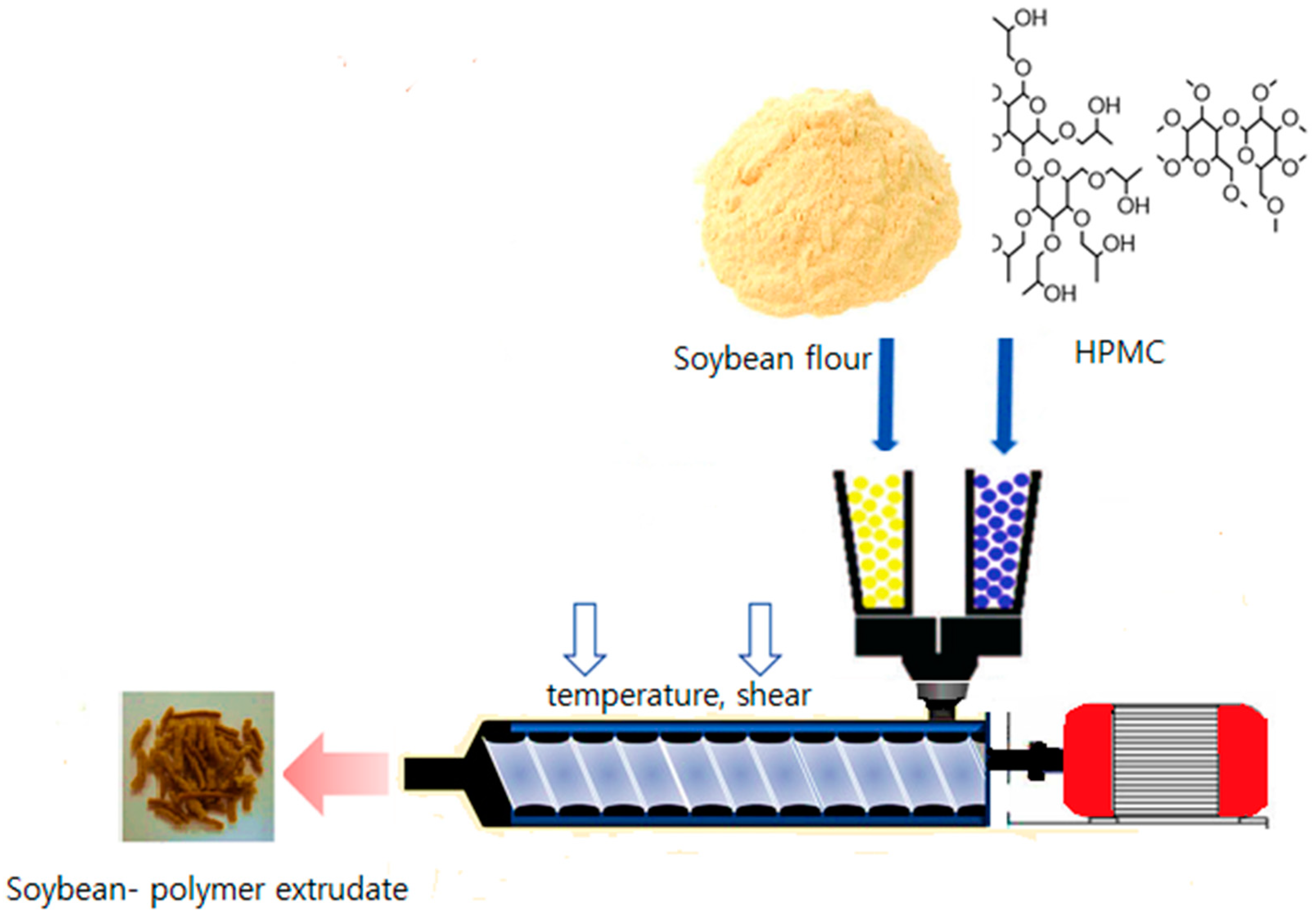 Foods | Free Full-Text | Development Of A Polymer-Mediated Soybean ...