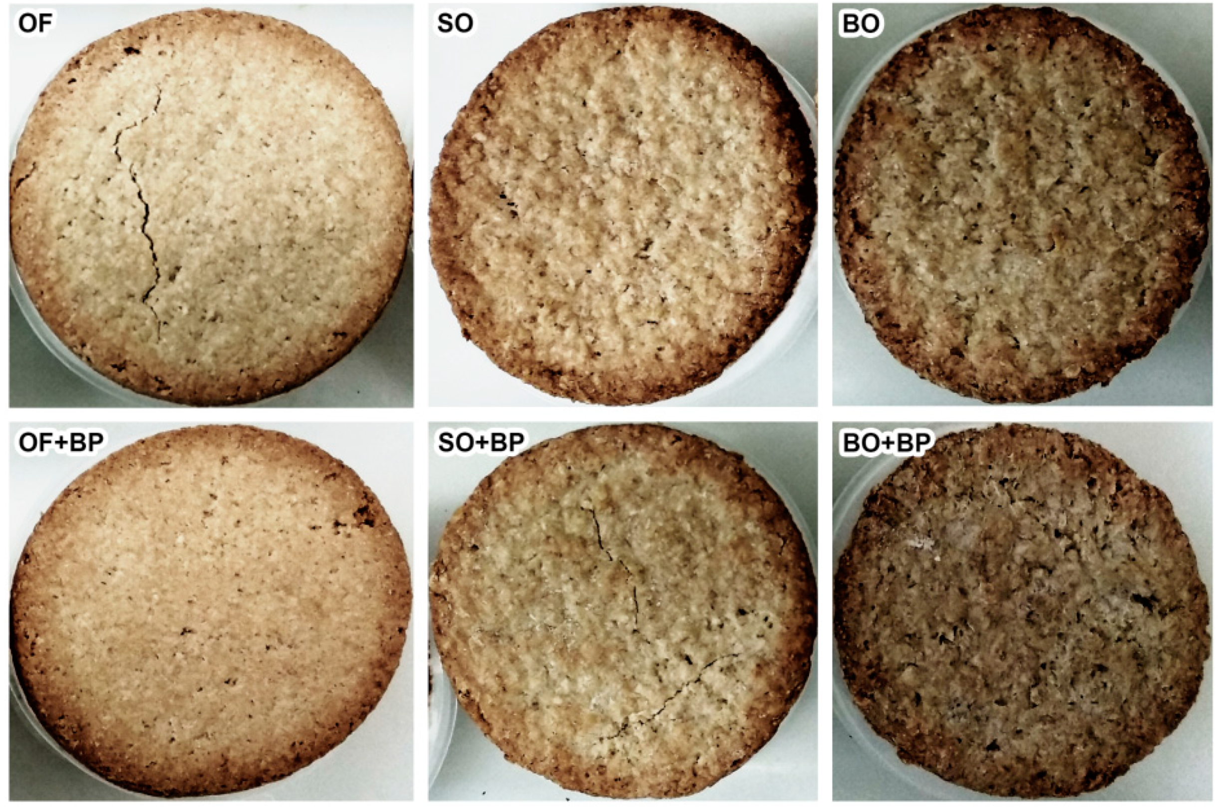 Foods | Free Full-Text | Potential Impact of Oat Ingredient Type on Oral  Fragmentation of Biscuits and Oro-Digestibility of Starch—An In Vitro  Approach
