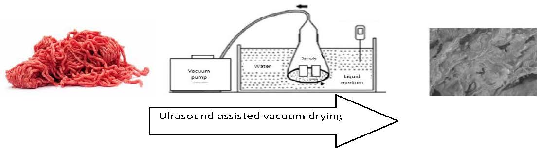 An Example Of A Liquid Medium In Drawing Is