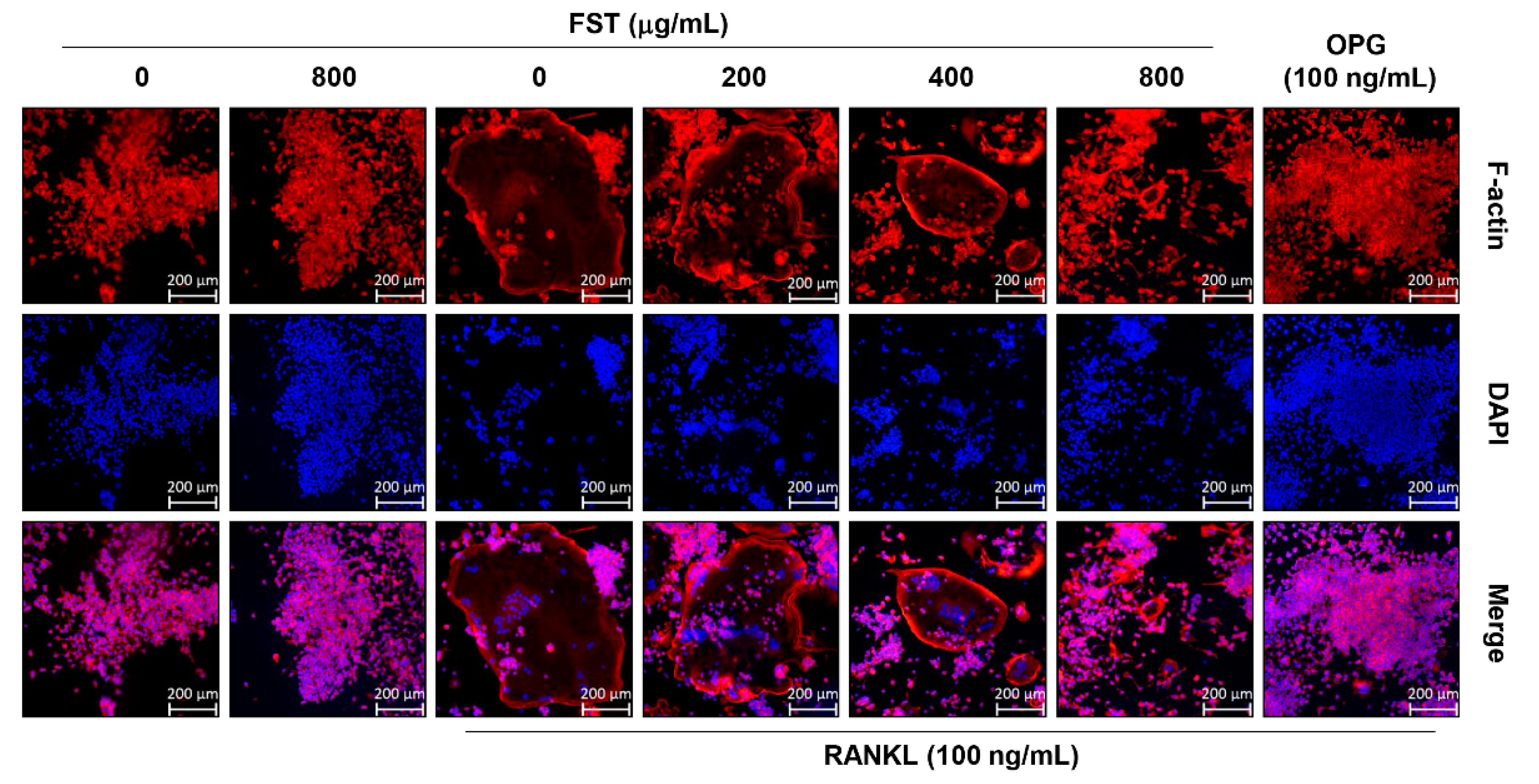 Foods 08 00290 g003 Foods 08 00290 g003