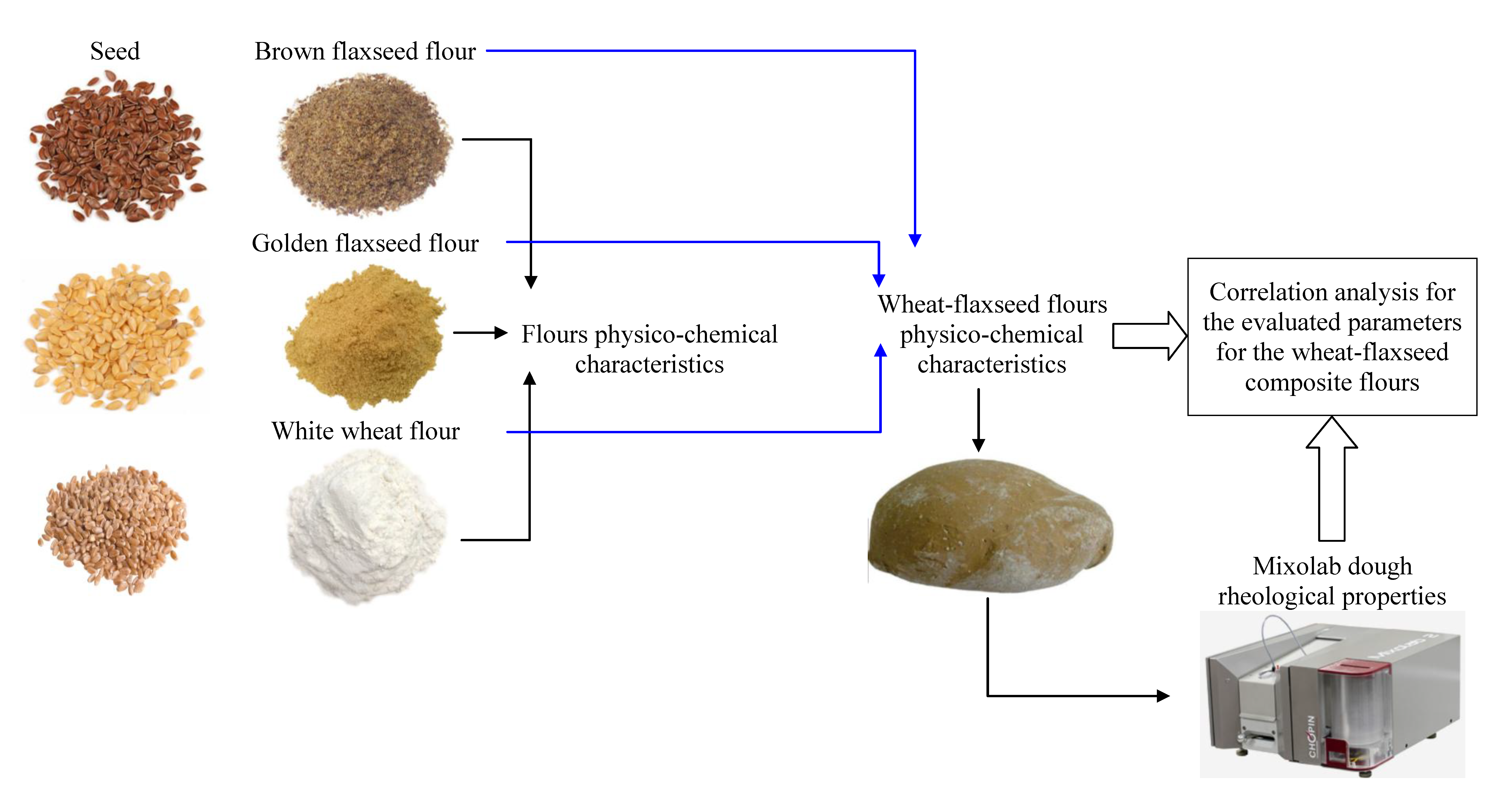 properties of cashew flour in baking