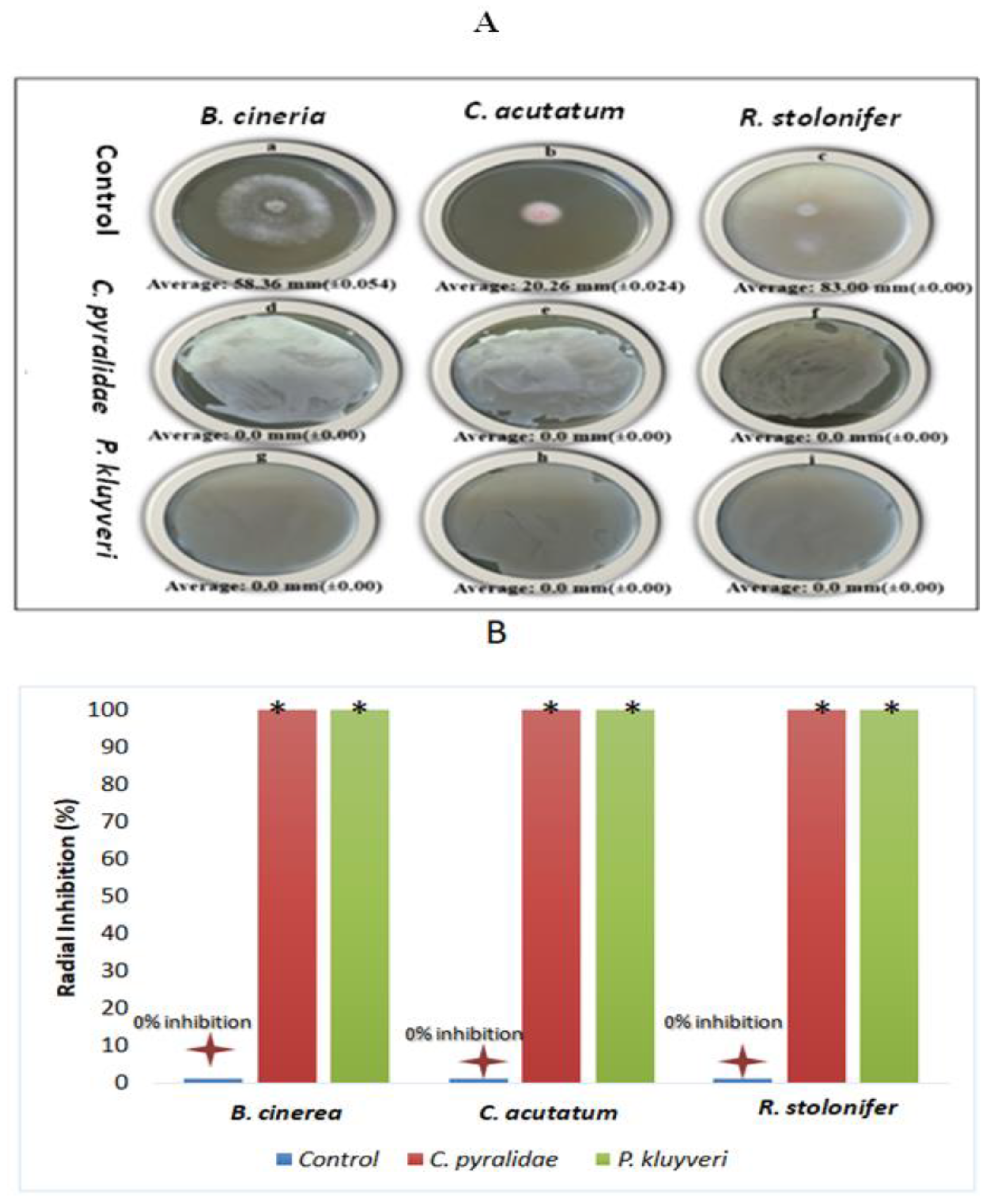 Foods Free Full Text The Use Of Candida Pyralidae And Pichia Kluyveri To Control Spoilage Microorganisms Of Raw Fruits Used For Beverage Production Html