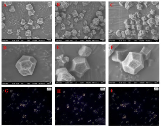 Rapid Visco Analyzer (RVA) viscoamylogram of djulis starch by the