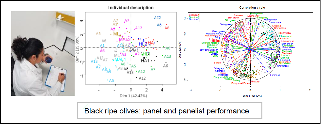 Foods Free Full Text Panel And Panelist Performance In The