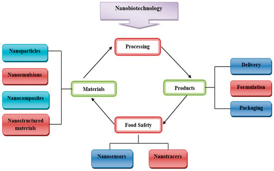 Foods Free Full Text An Overview Of The Applications Of Nanomaterials And Nanodevices In The Food Industry Html