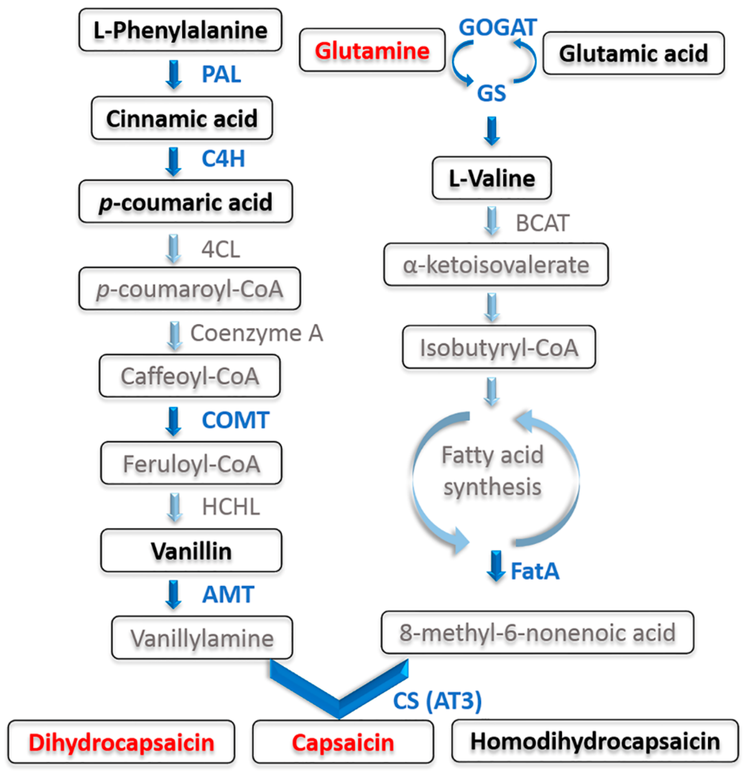 Foods 09 00150 g004 Foods 09 00150 g004