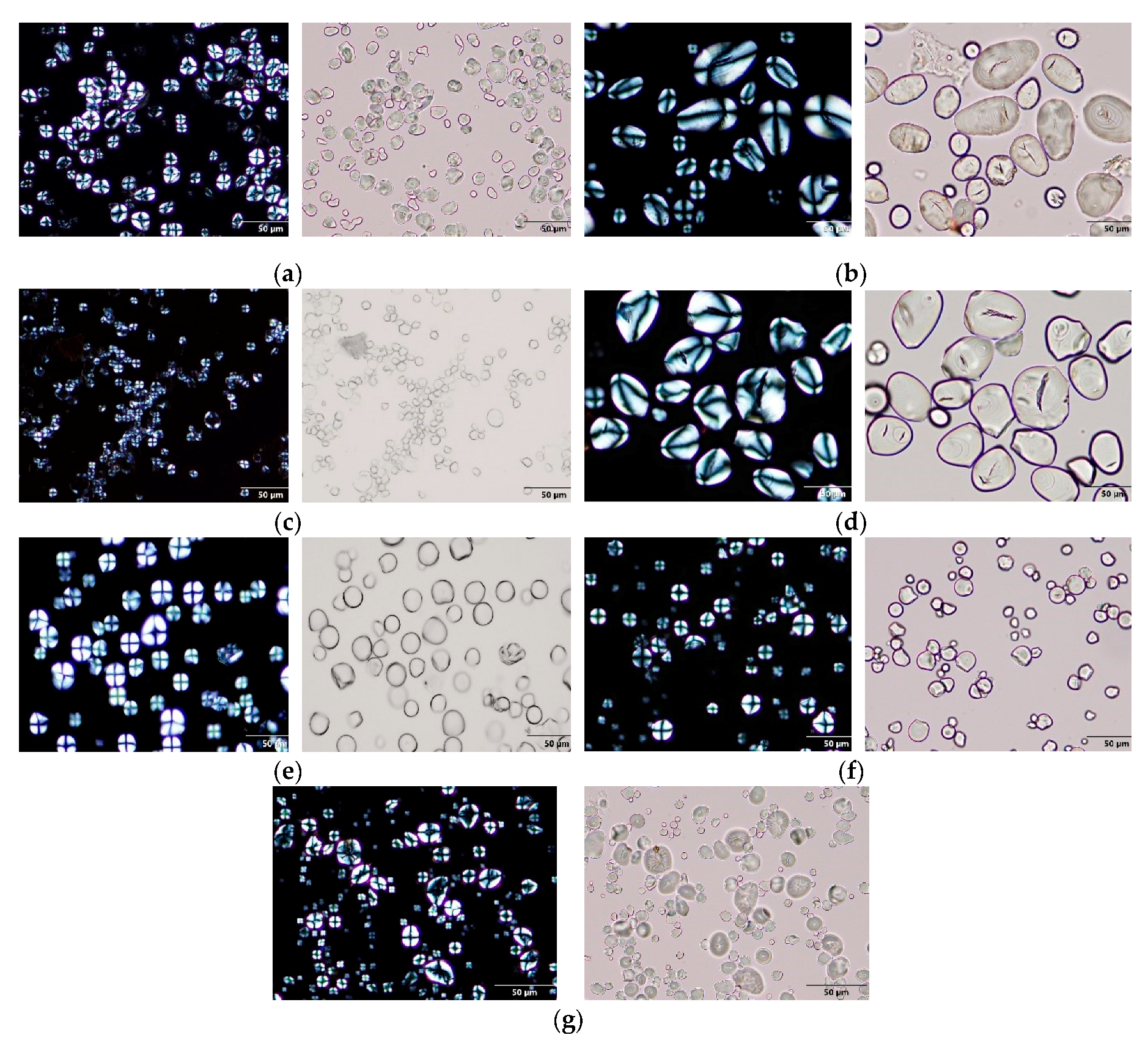 Foods Free Full Text The Physicochemical Characterization Of Unconventional Starches And Flours Used In Asia Html