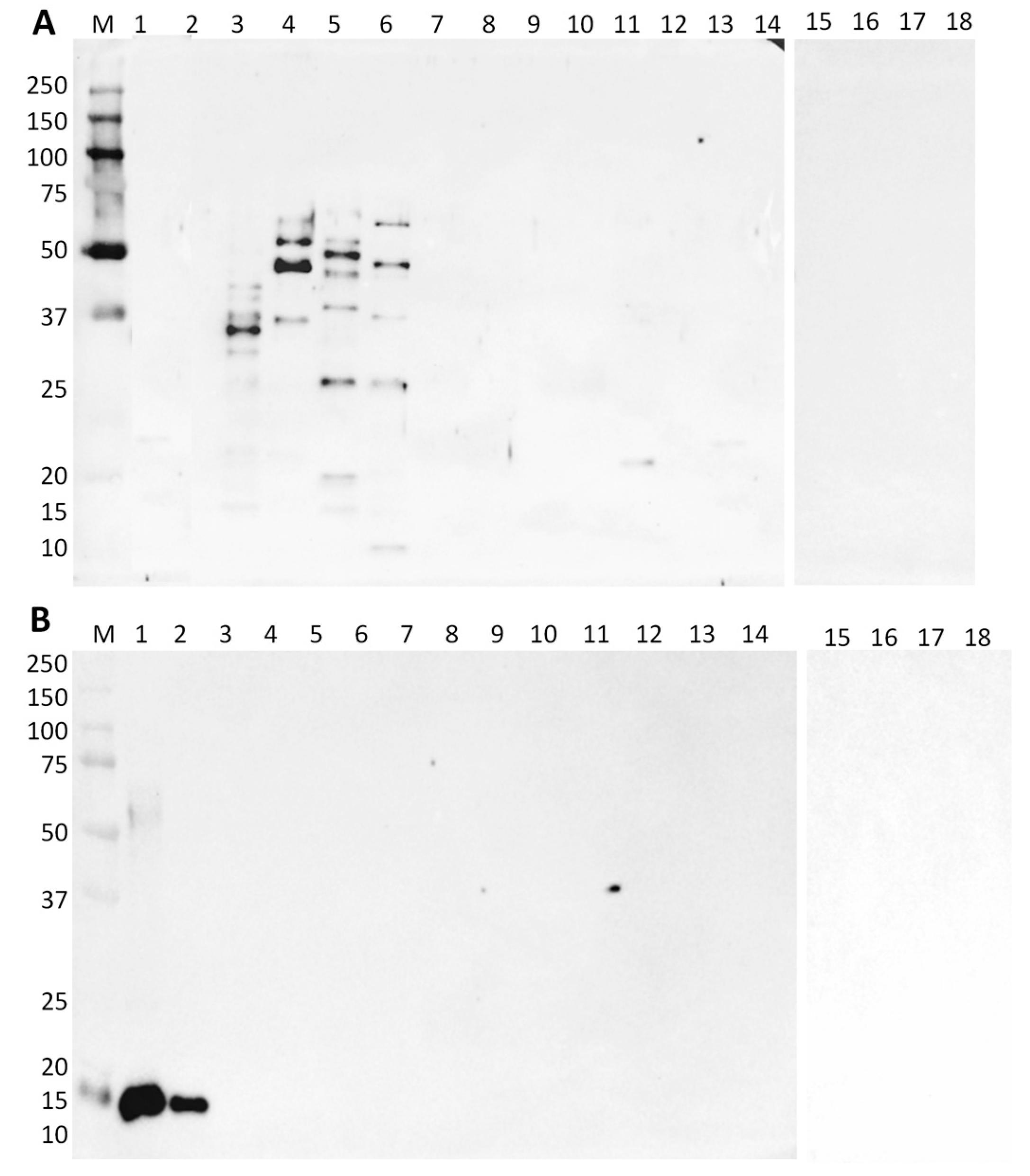 Foods 09 00254 g001 Foods 09 00254 g001