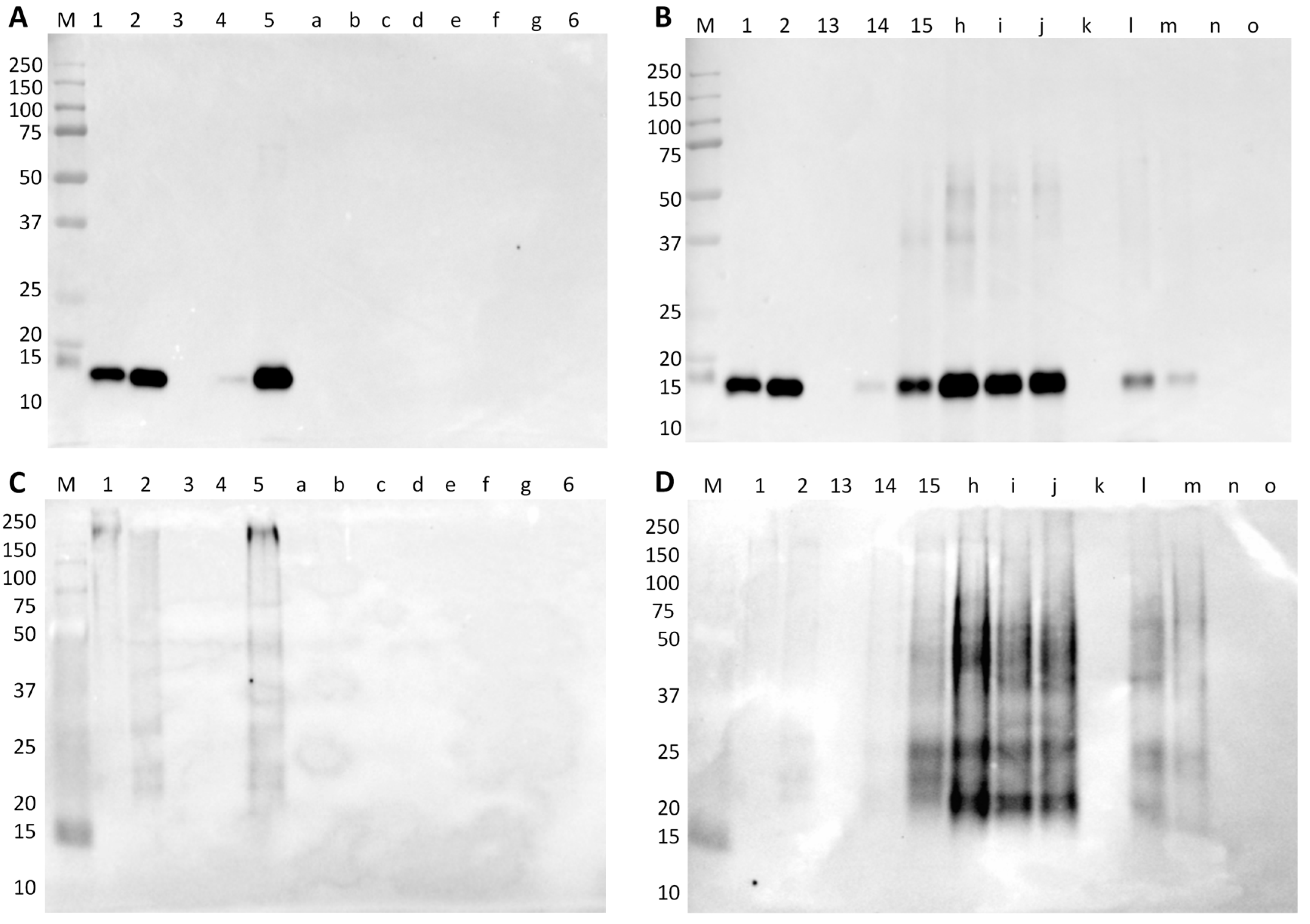 Foods 09 00254 g005 Foods 09 00254 g005