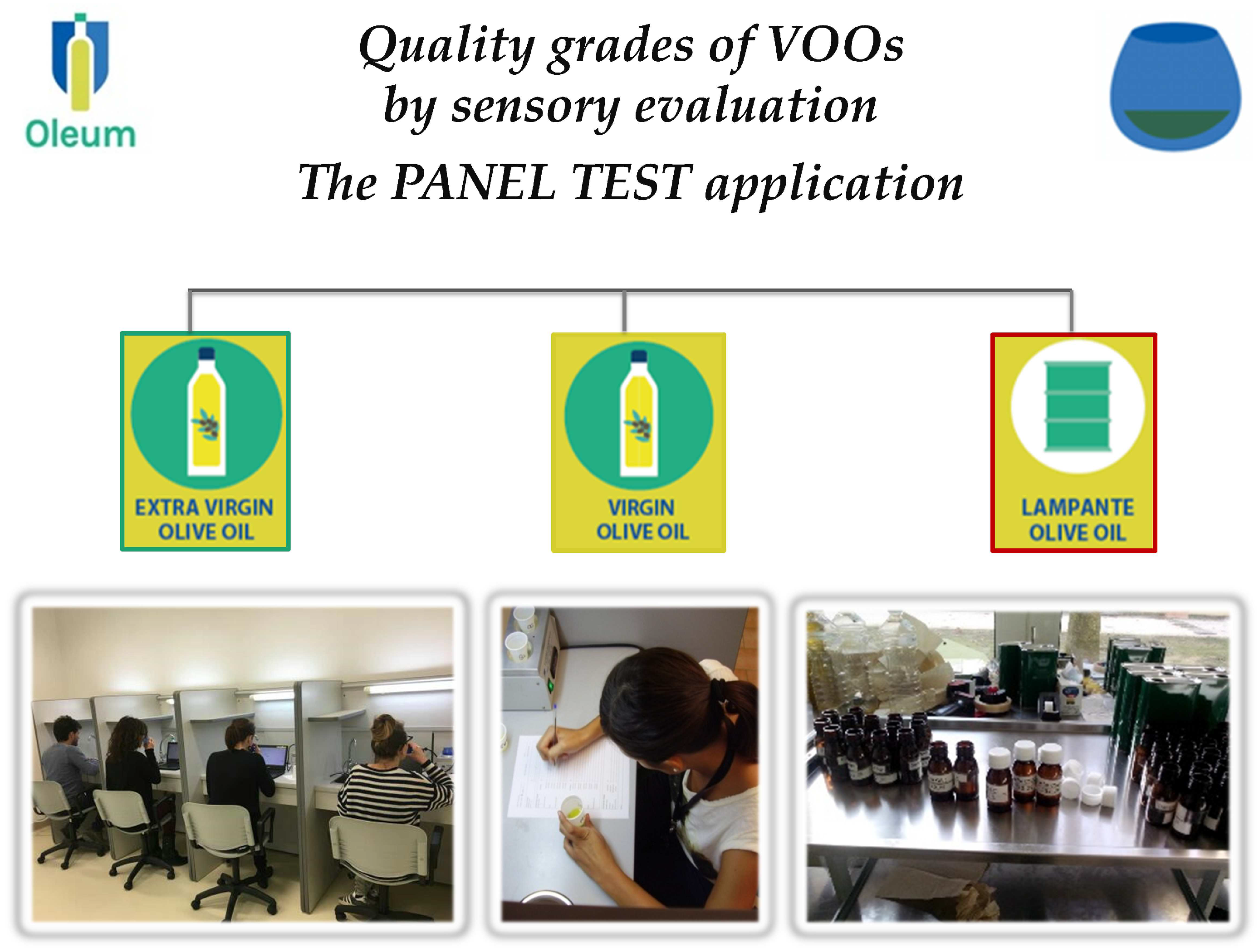 Foods Free Full Text Alignment And Proficiency Of Virgin Olive Oil Sensory Panels The Oleum Approach