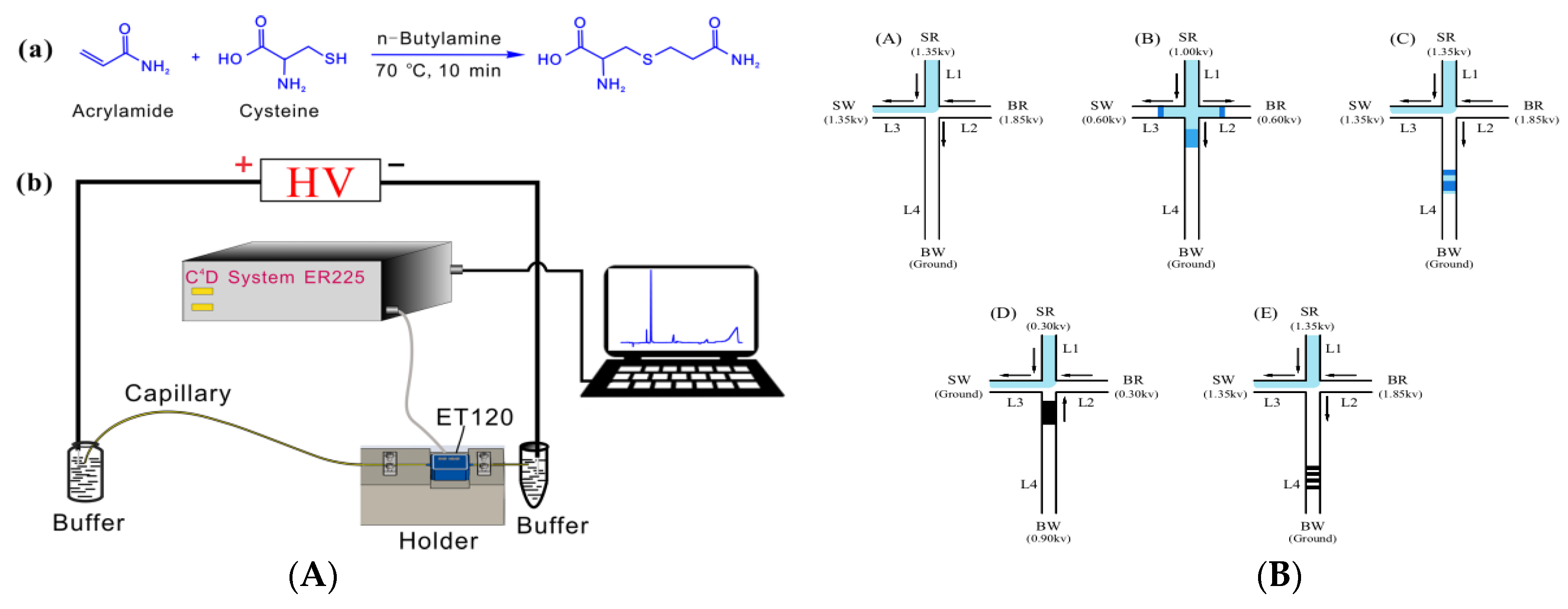 Foods 09 00524 g002 Foods 09 00524 g002