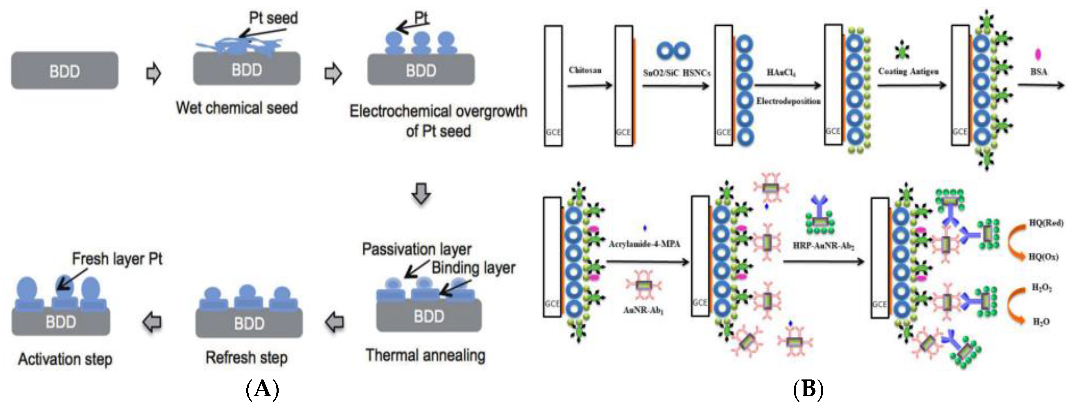 Foods 09 00524 g006 Foods 09 00524 g006